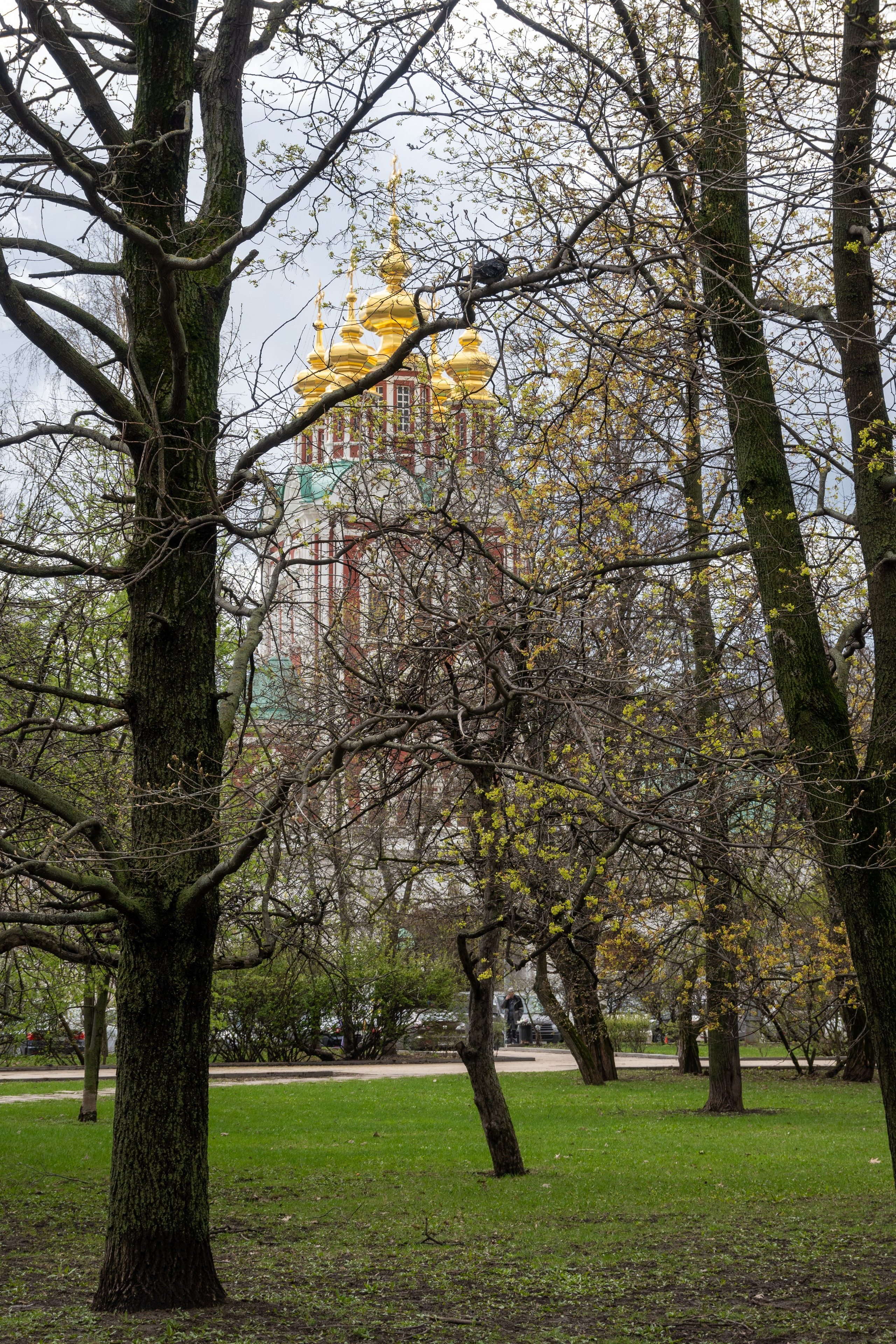 20240419 Хамовники. Дмитрий Ремизов. Фотография, как хобби