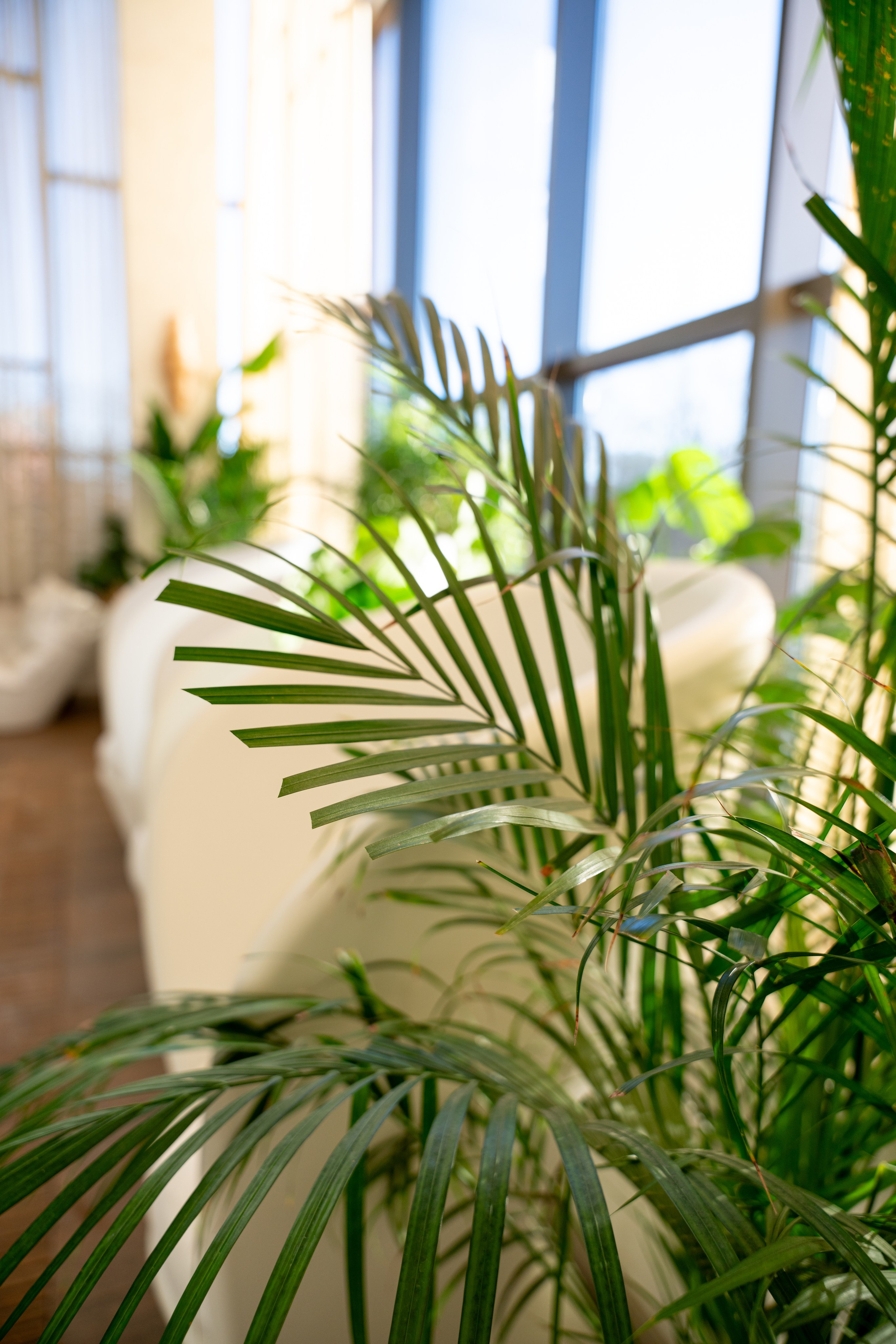 БУТА СПА. Фотограф на любое мероприятие