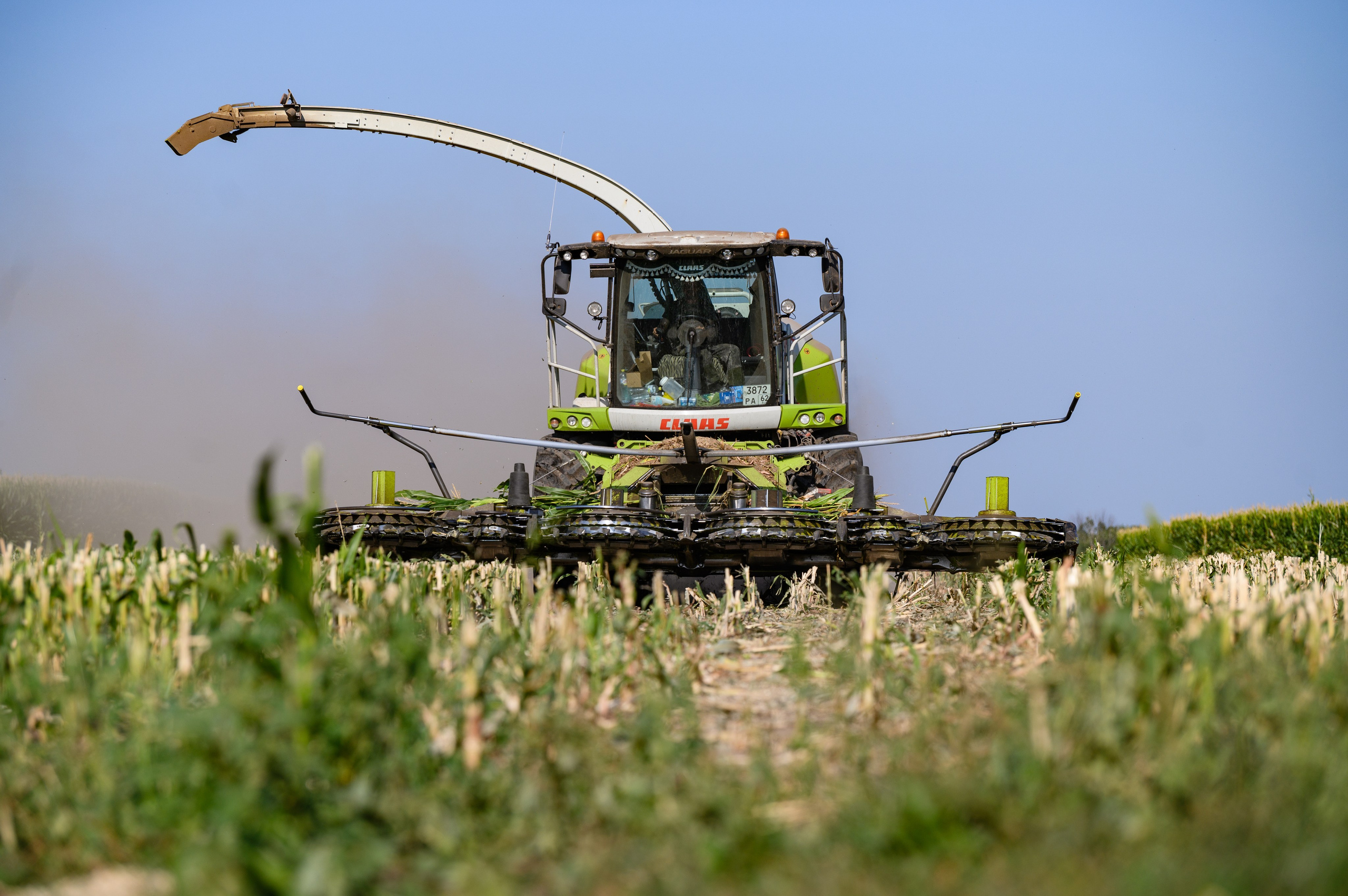Проекты. Профессиональный фотограф Вячеслав Плацында | Липецк |