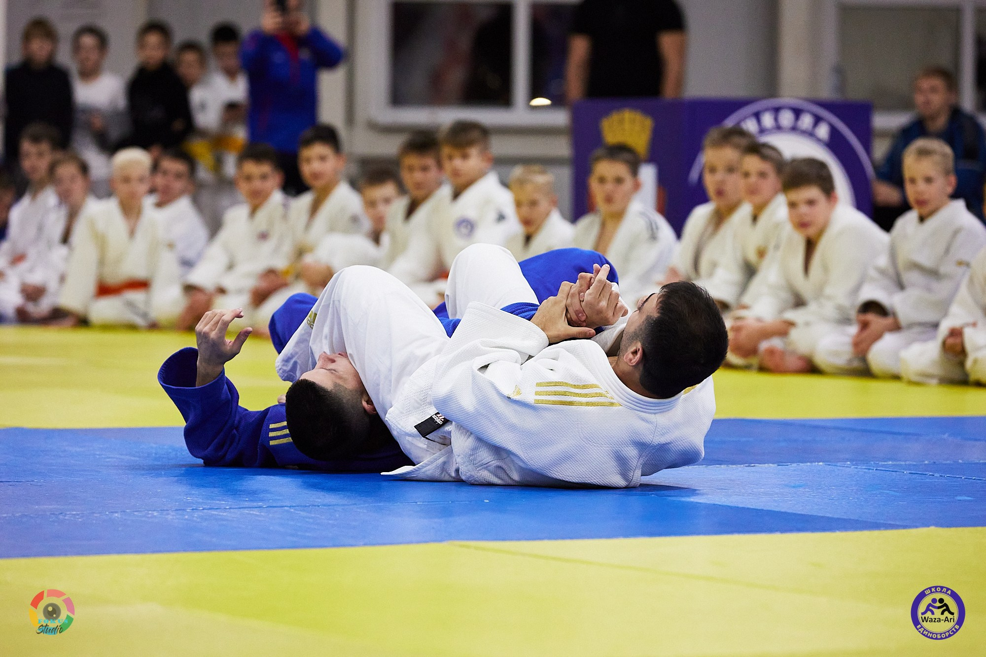 Репортаж Турнир по дзюдо. Спортивный фотограф Некрасов Денис