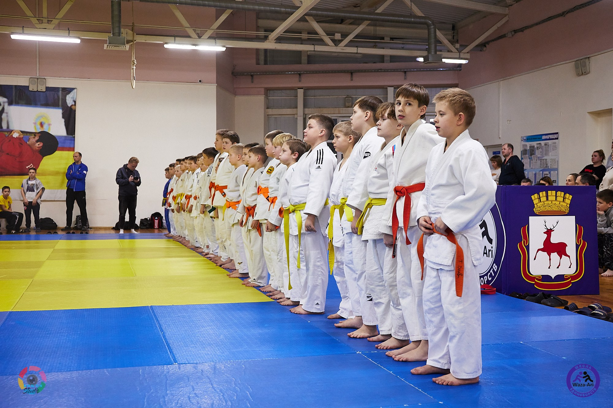 Репортаж Турнир по дзюдо. Спортивный фотограф Некрасов Денис