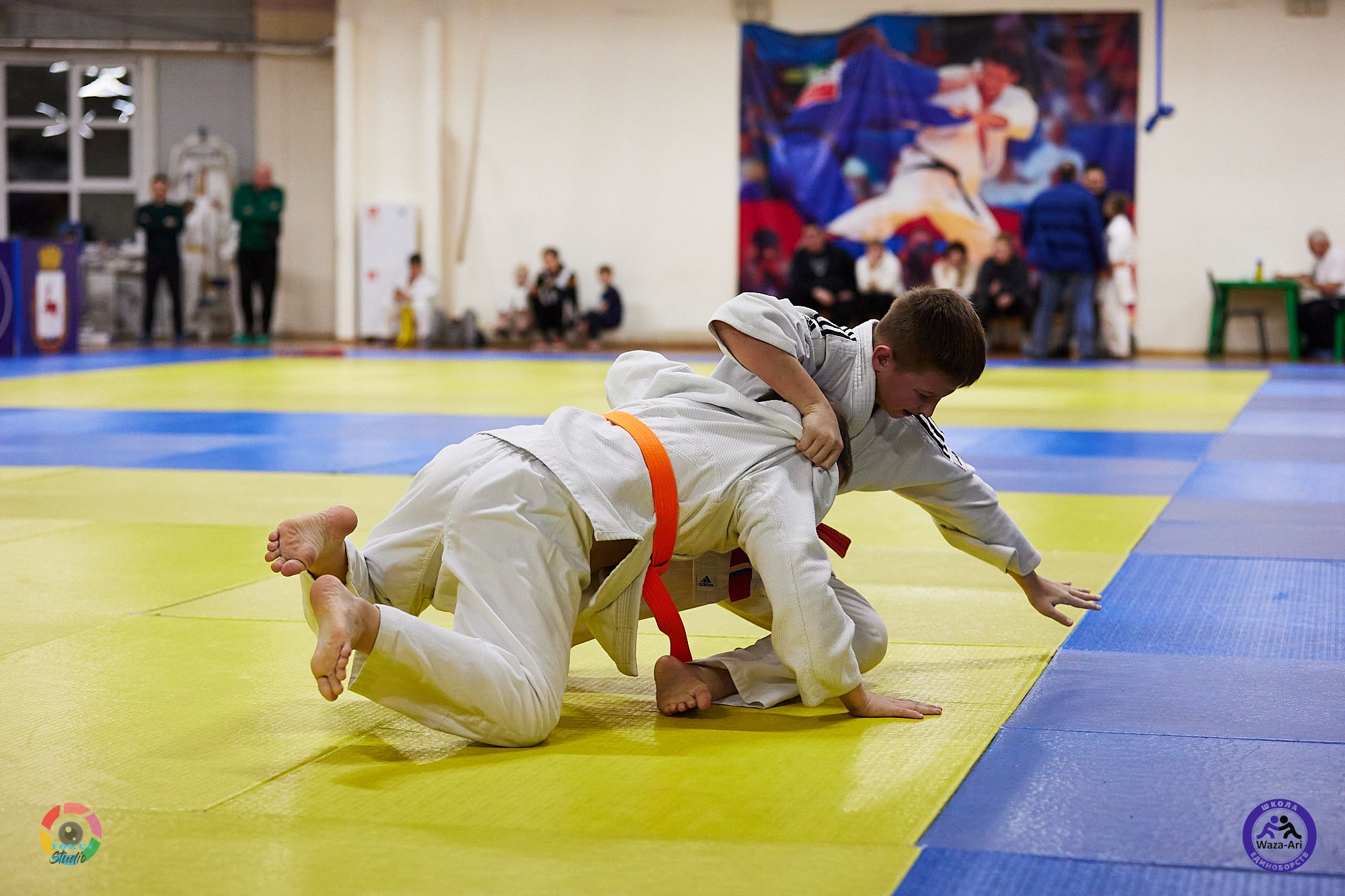 Репортаж Турнир по дзюдо. Спортивный фотограф Некрасов Денис