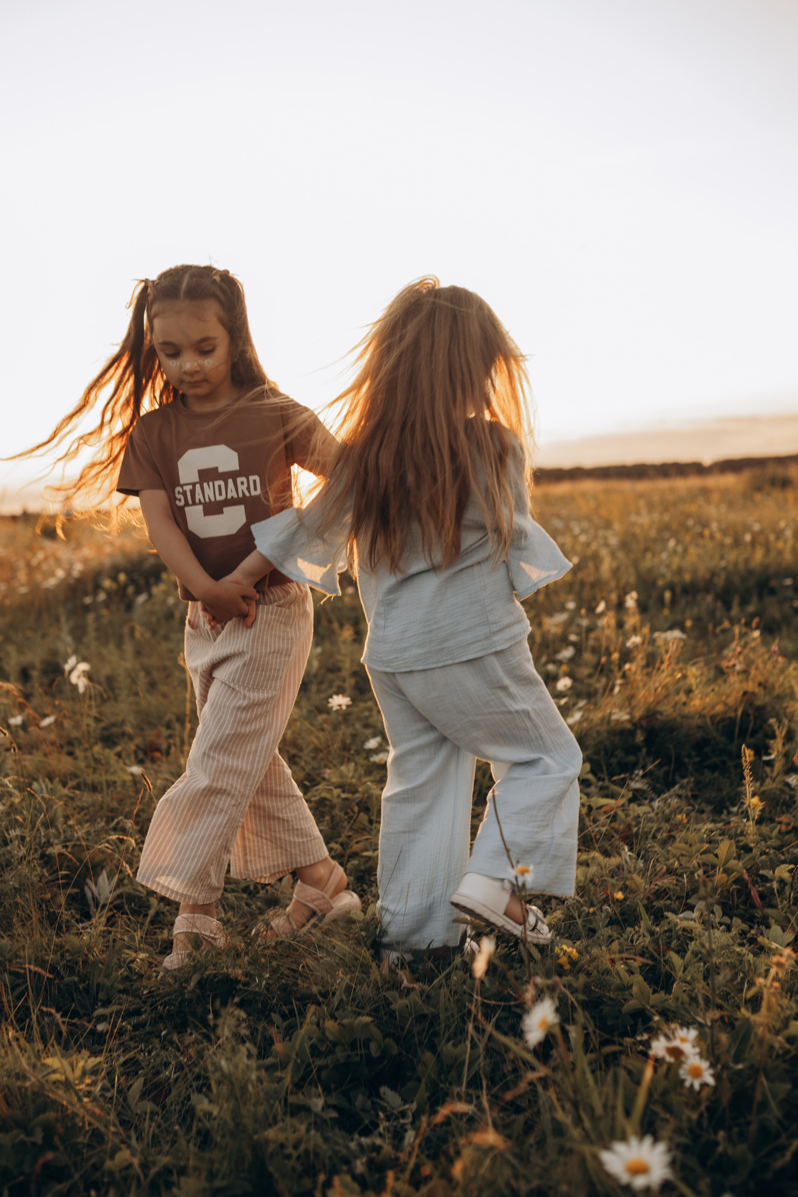 Закат на ромашковом поле. Фотограф в Ставрополе Svetlana Matveeva