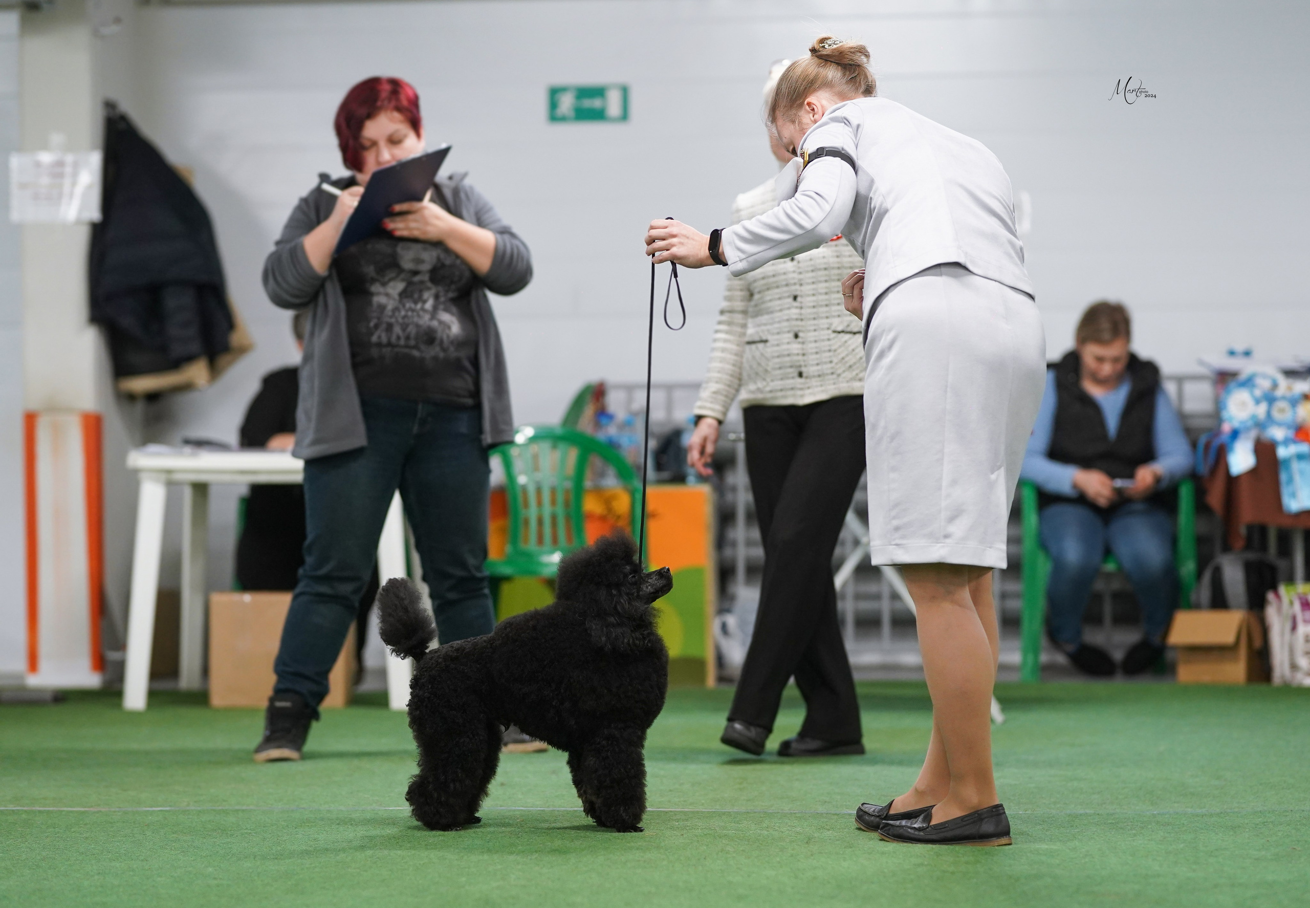 Выставки 2024. Фотограф-анималист в Санкт-Петербурге Яна Мартынова