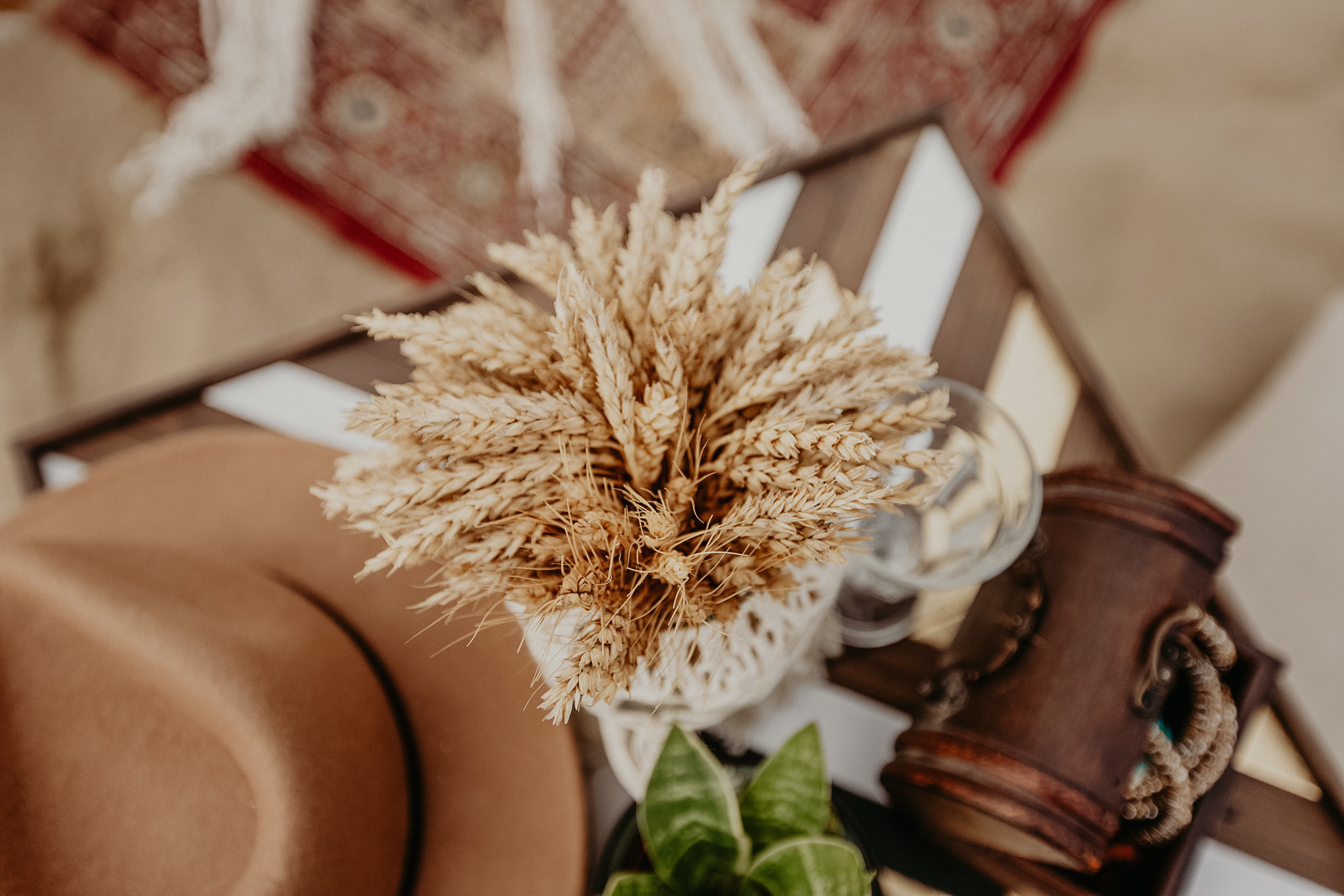 Свадебный фотограф сочи. Фотограф в Санкт Петербурге и Москве Анастасия Сиволод