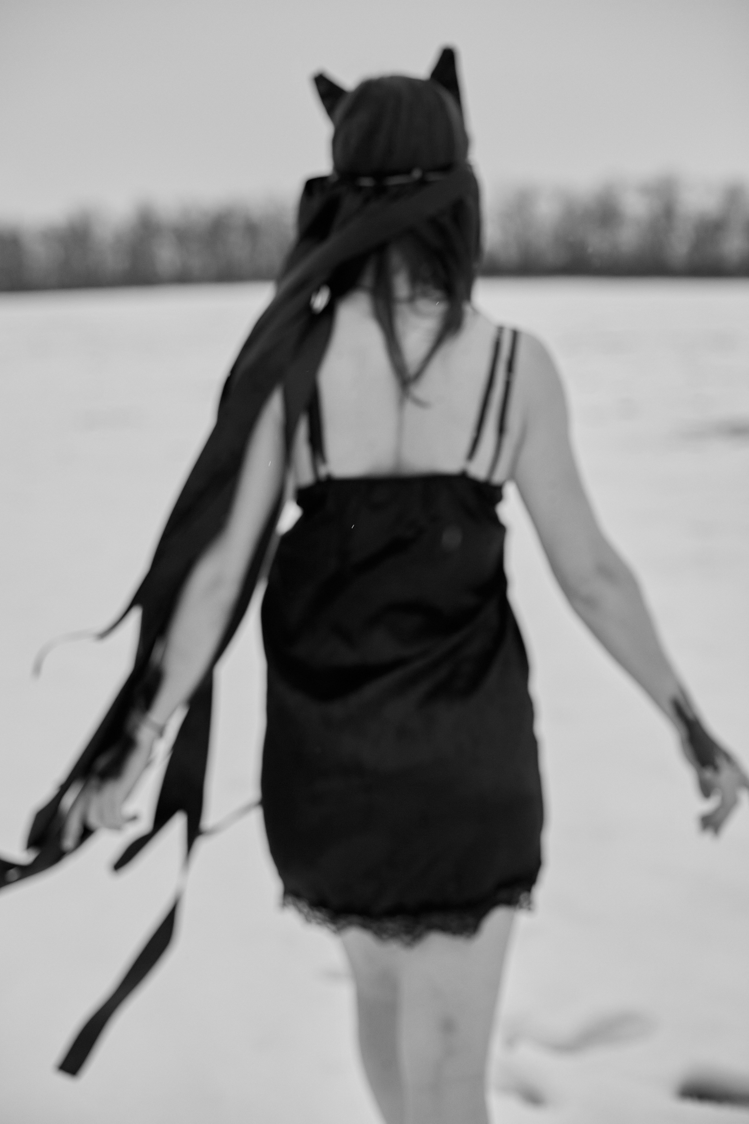 «Снежная волчица». Свадебный и креативный фотограф в ЮФО