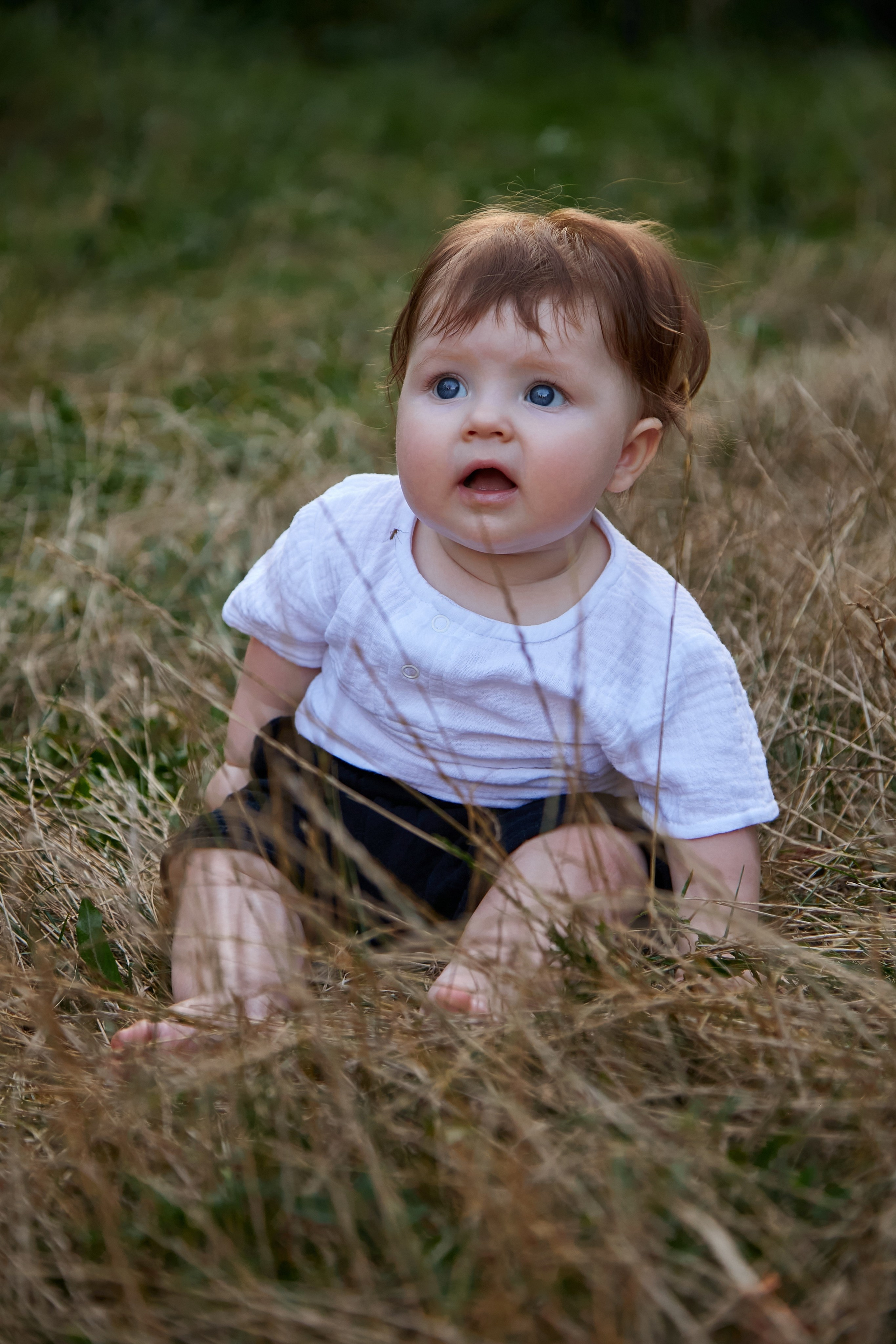 «В роще…». Свадебный и креативный фотограф в ЮФО и МСК