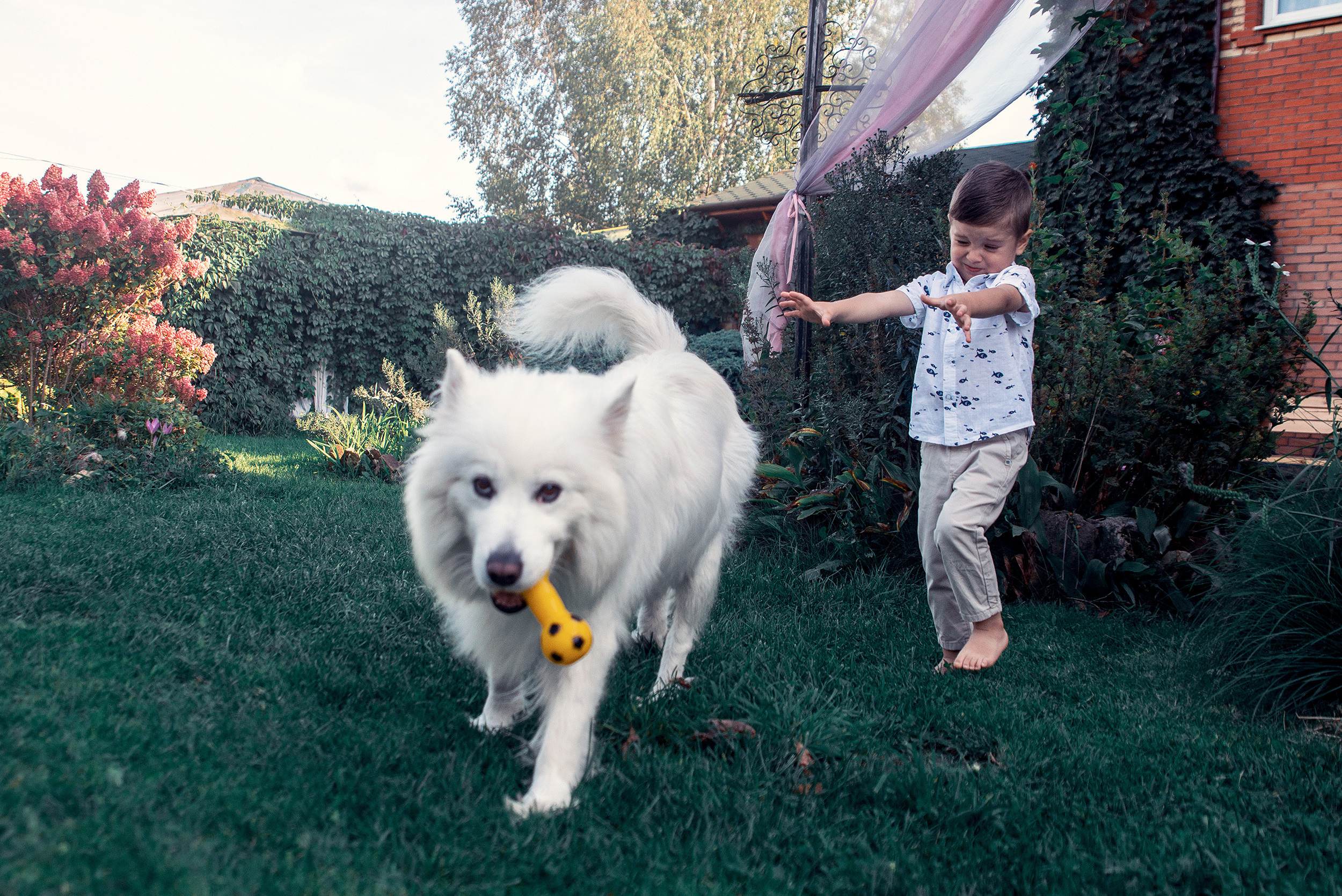 Family. Фото Видео Дизайн