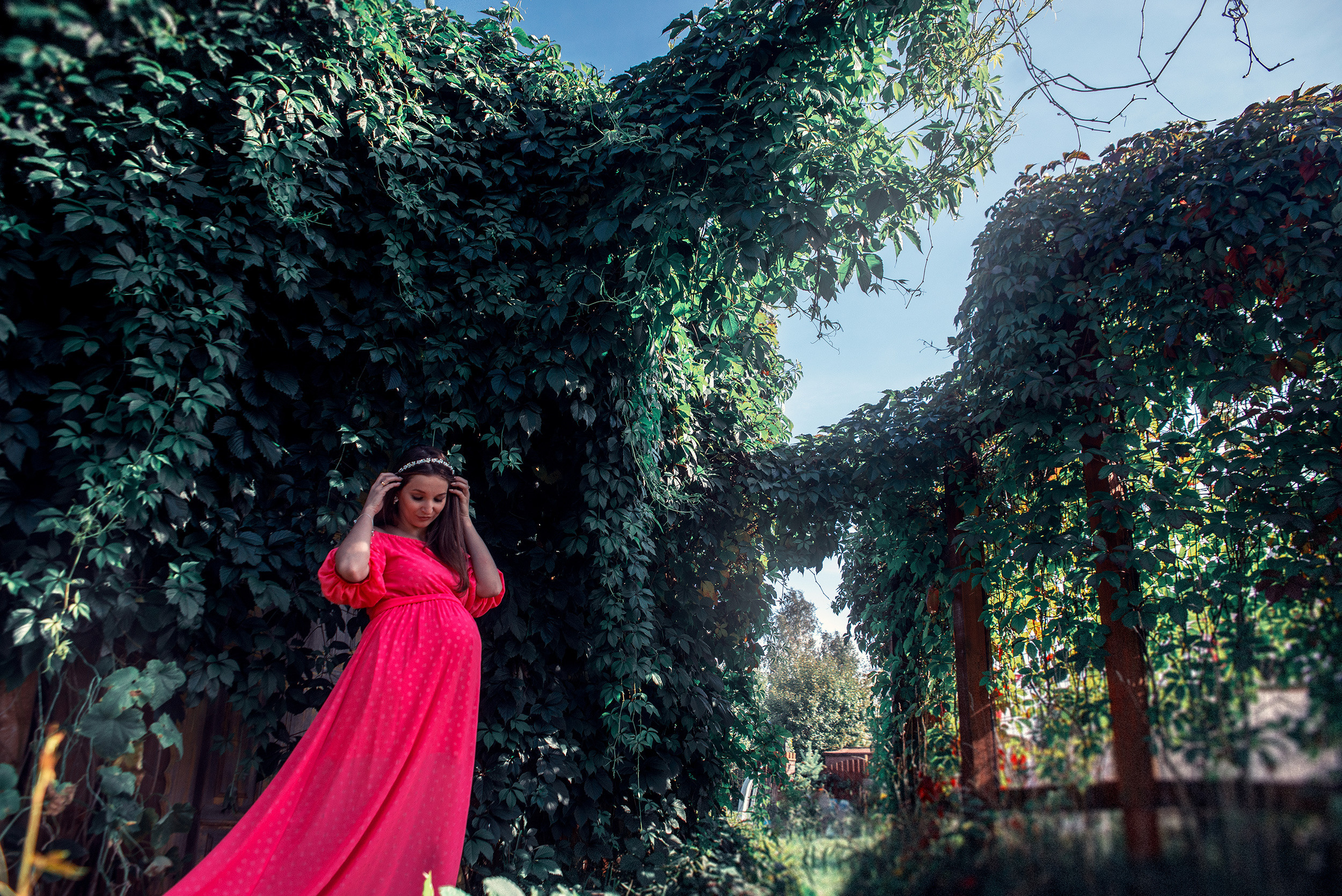 Family. Фото Видео Дизайн