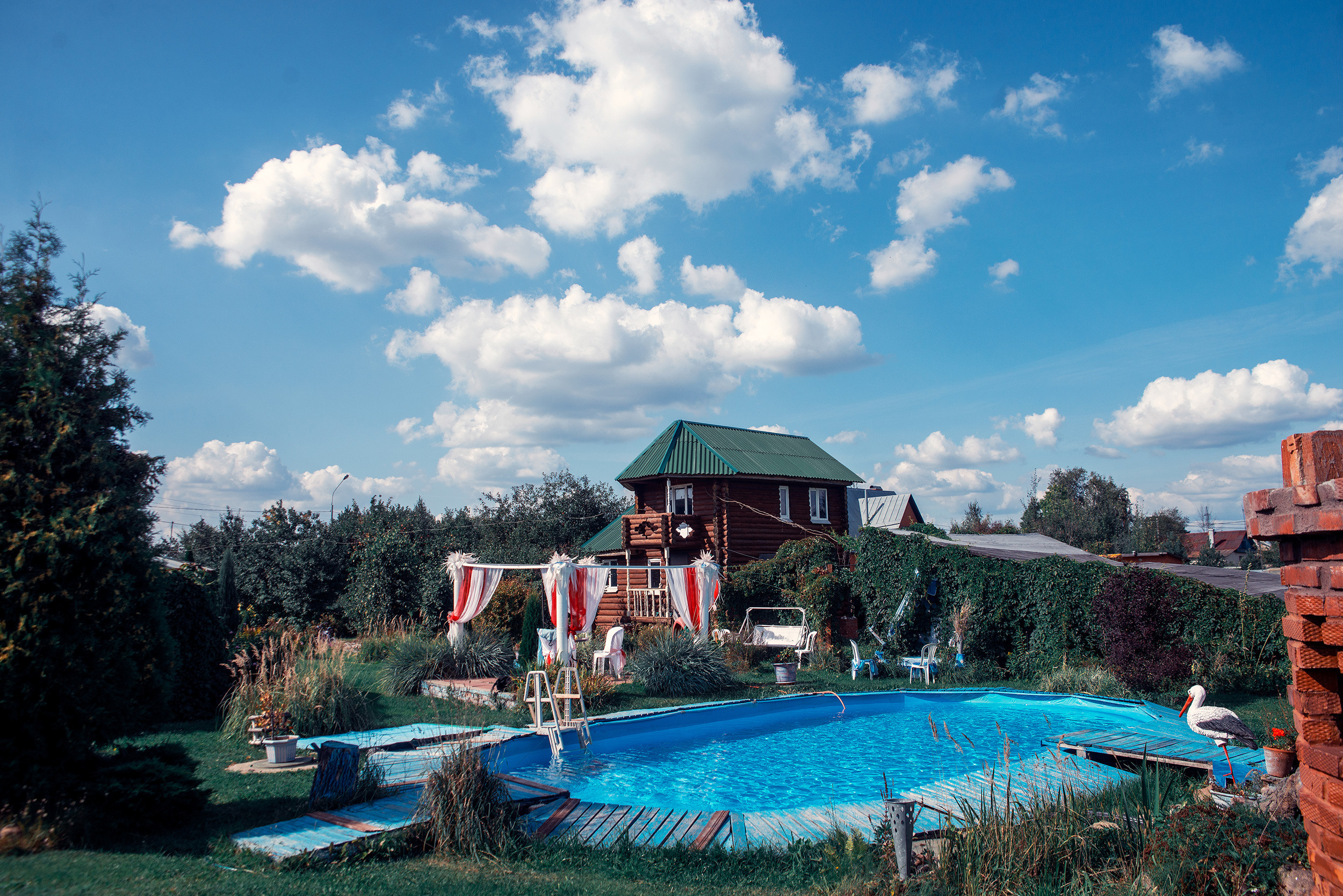 Family. Фото Видео Дизайн