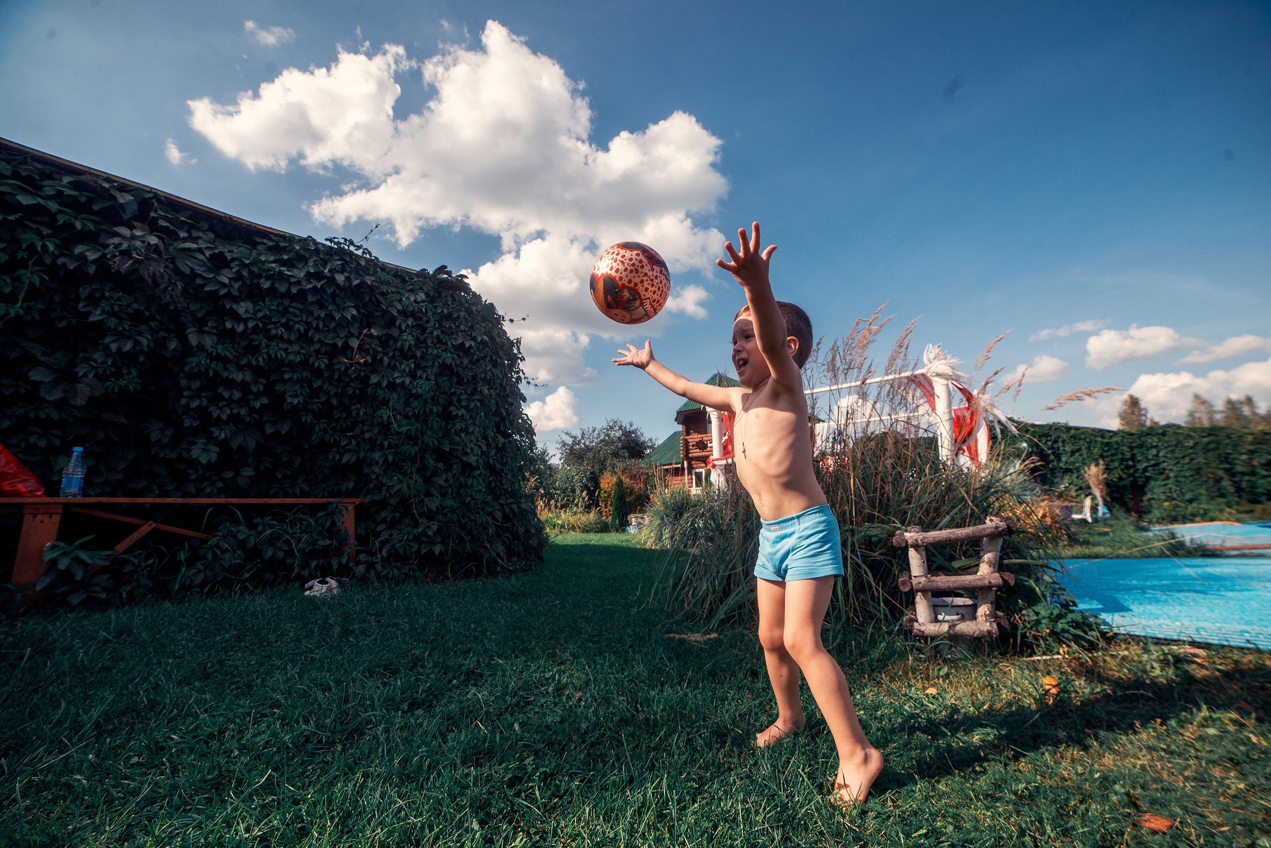 Family. Фото Видео Дизайн