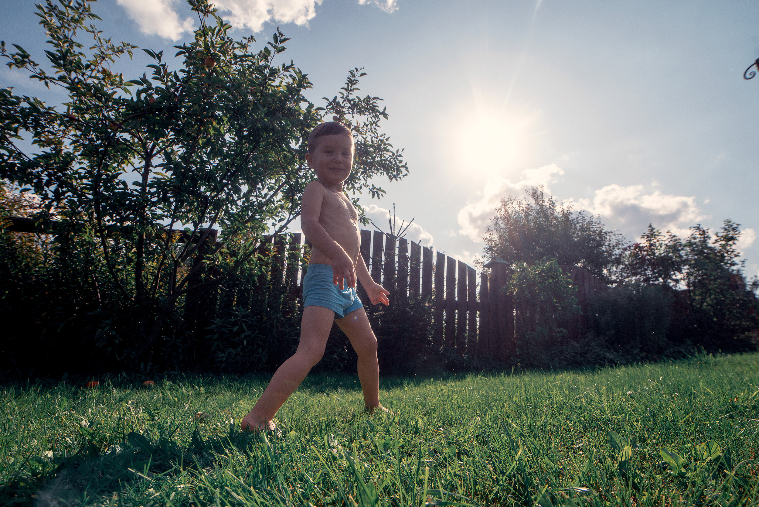 Family. Фото Видео Дизайн