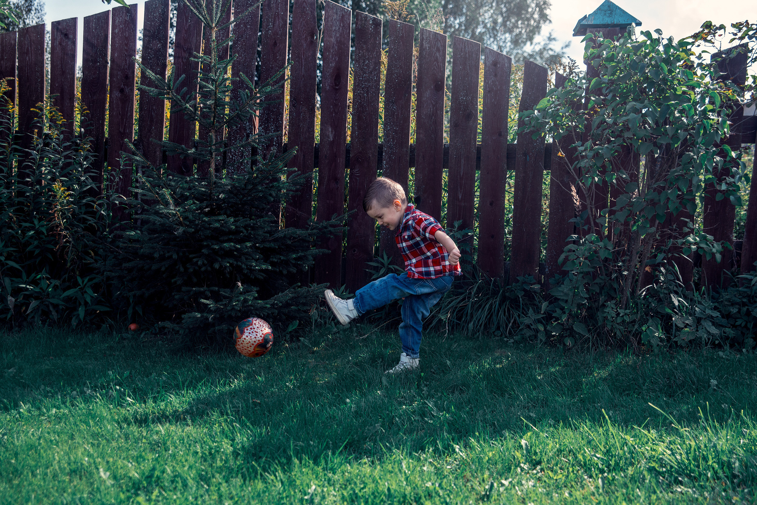 Family. Фото Видео Дизайн