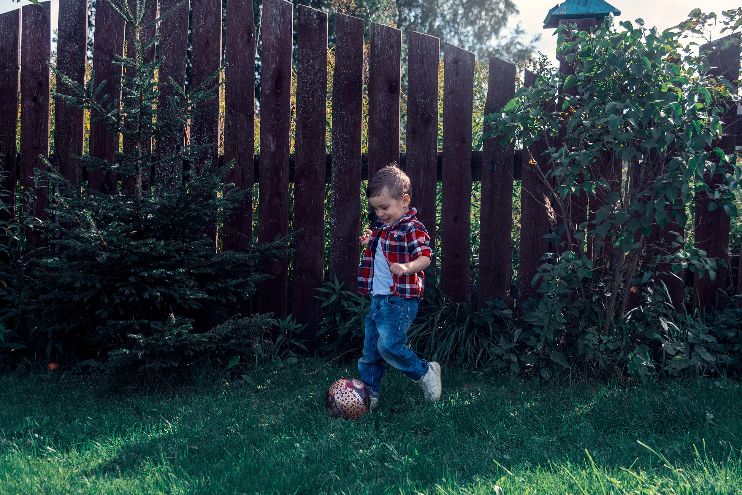 Family. Фото Видео Дизайн