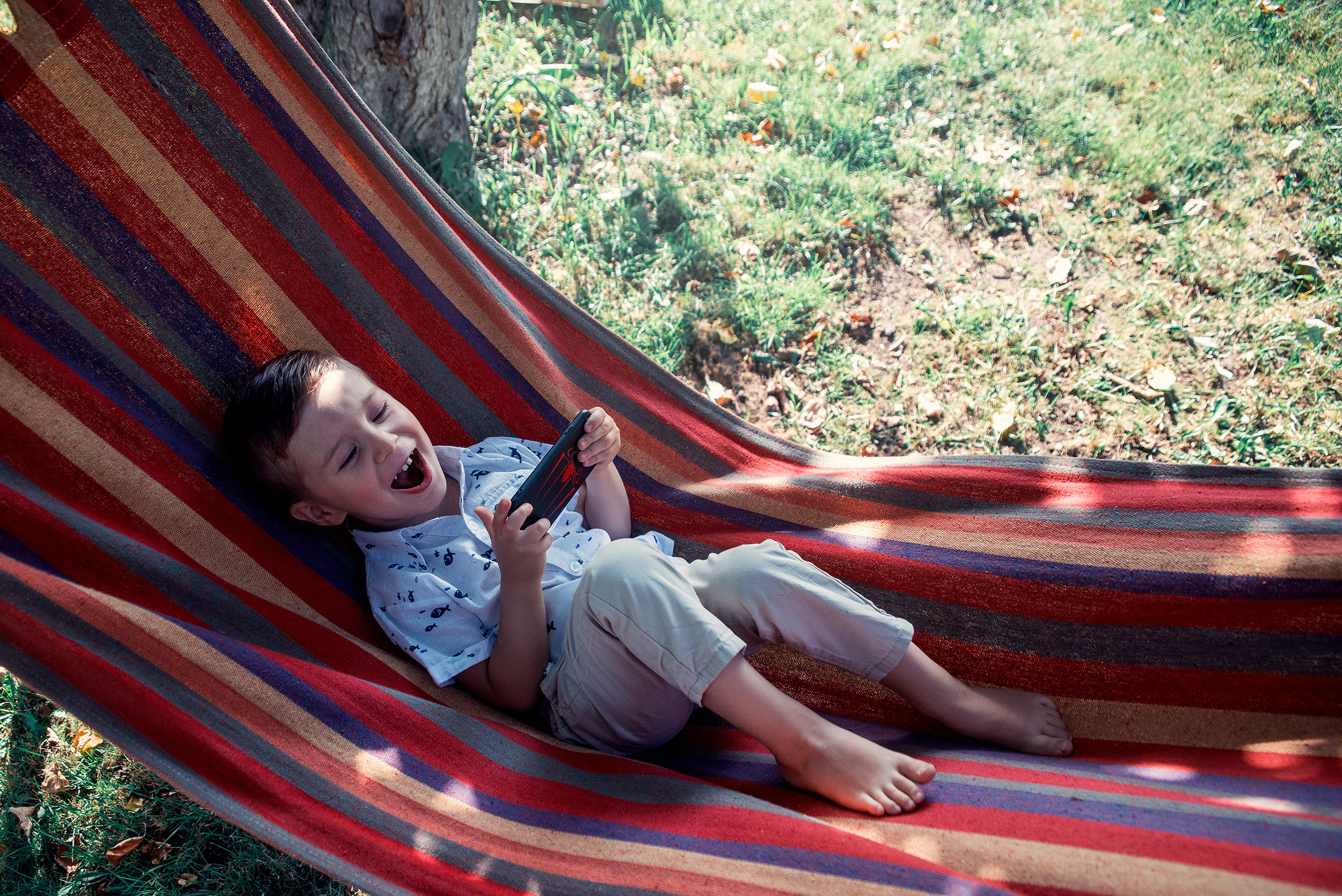 Family. Фото Видео Дизайн