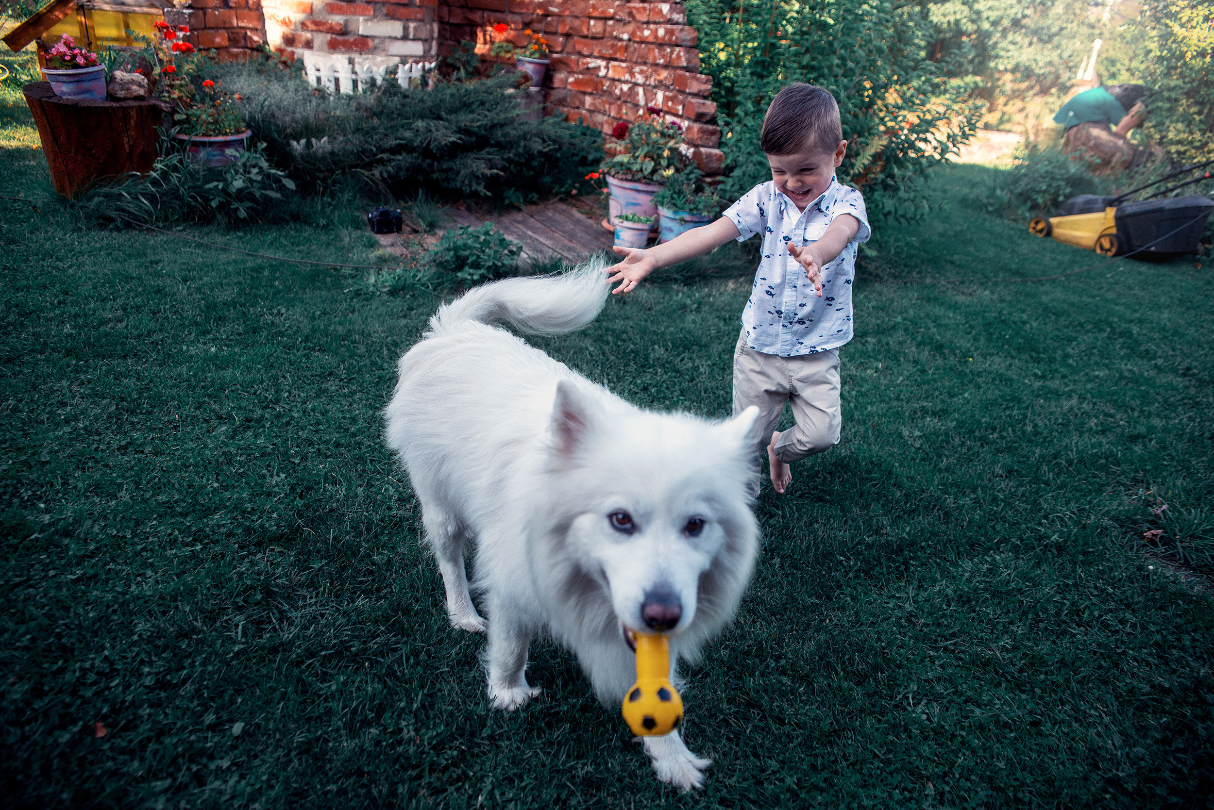 Family. Фото Видео Дизайн