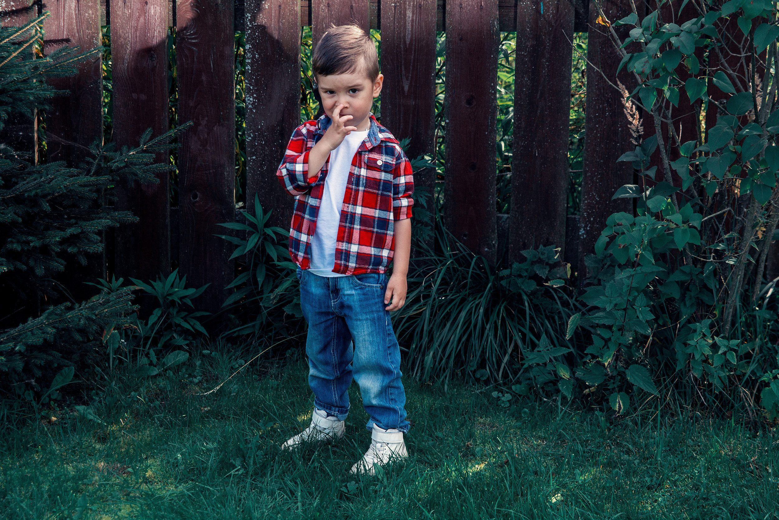 Family. Фото Видео Дизайн