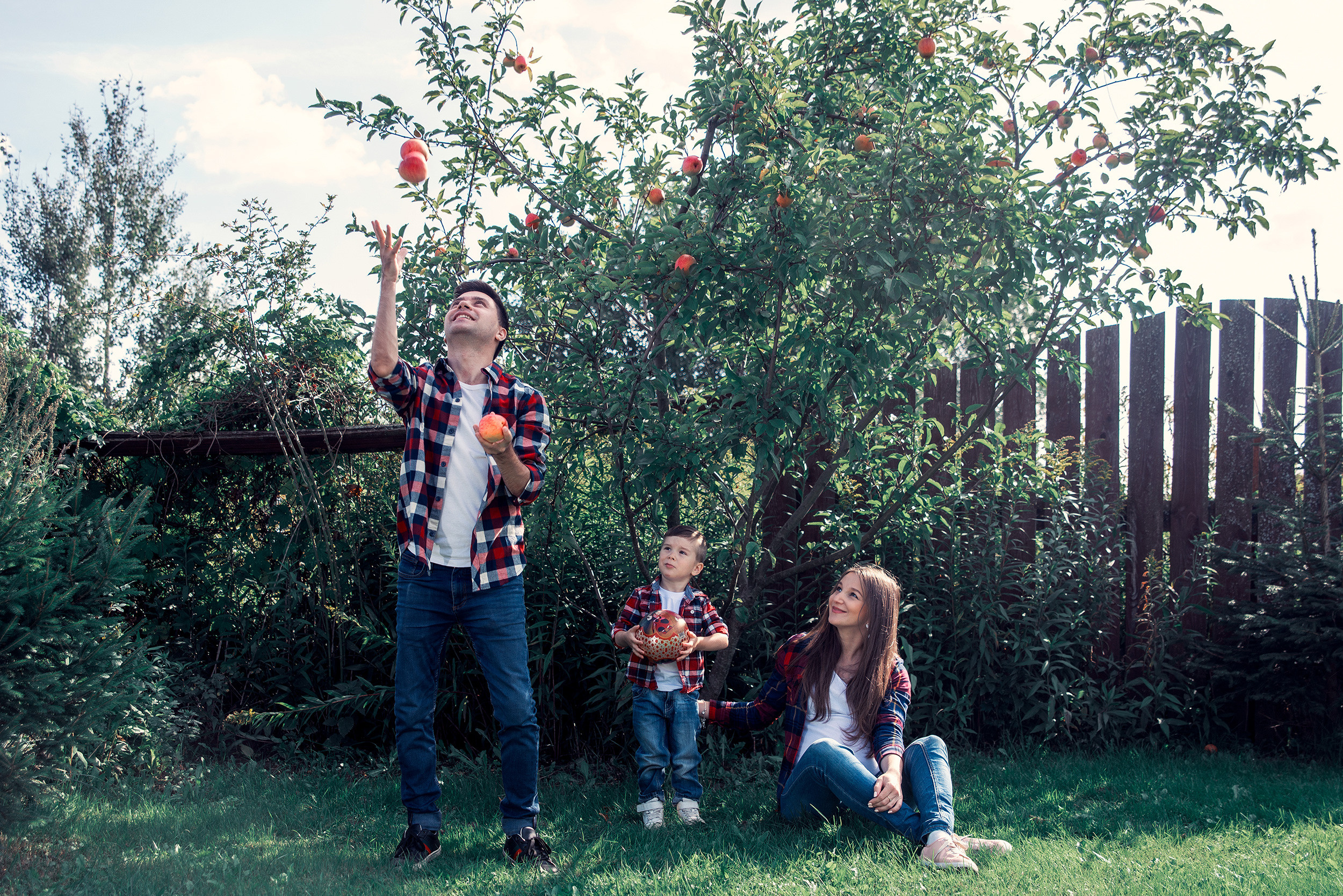 Family. Фото Видео Дизайн