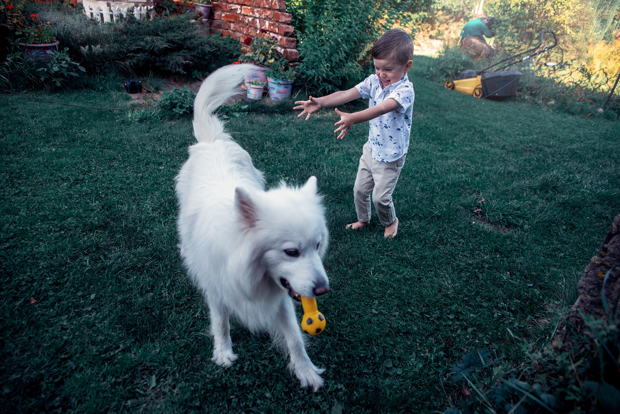 Family. Фото Видео Дизайн