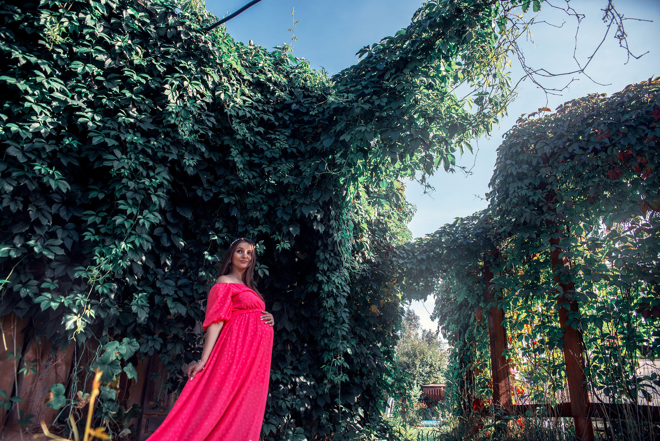 Family. Фото Видео Дизайн