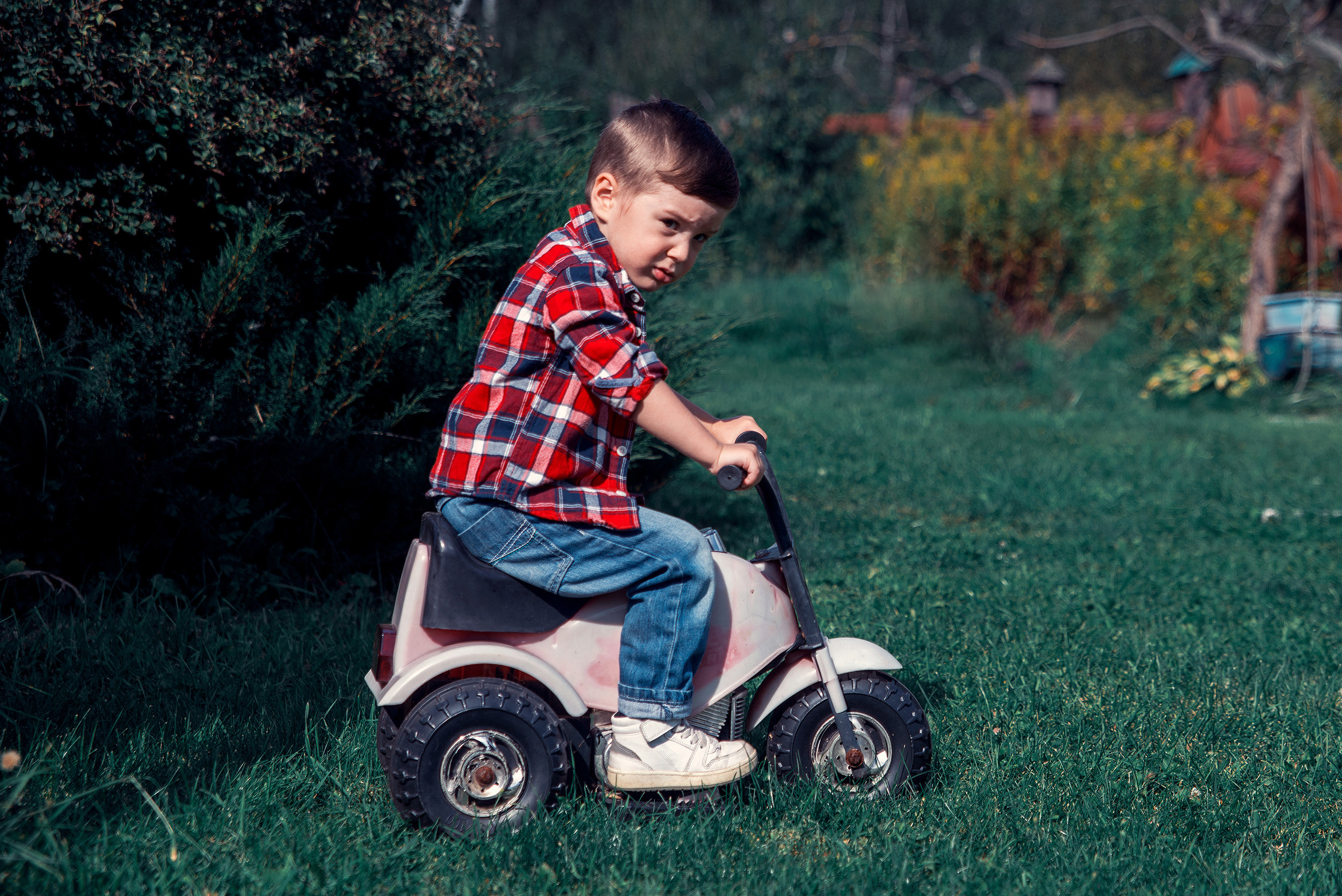 Family. Фото Видео Дизайн