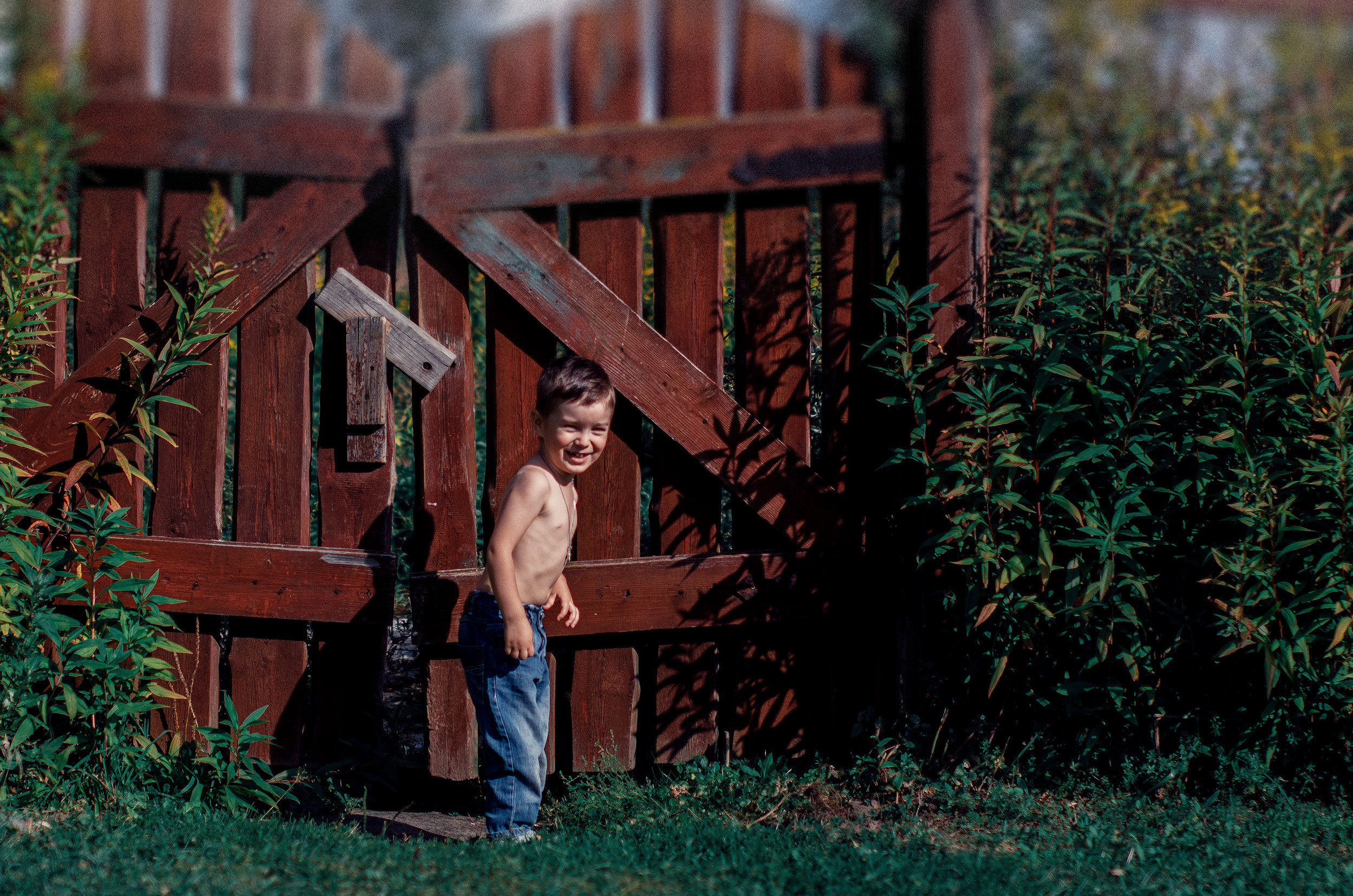 Family. Фото Видео Дизайн