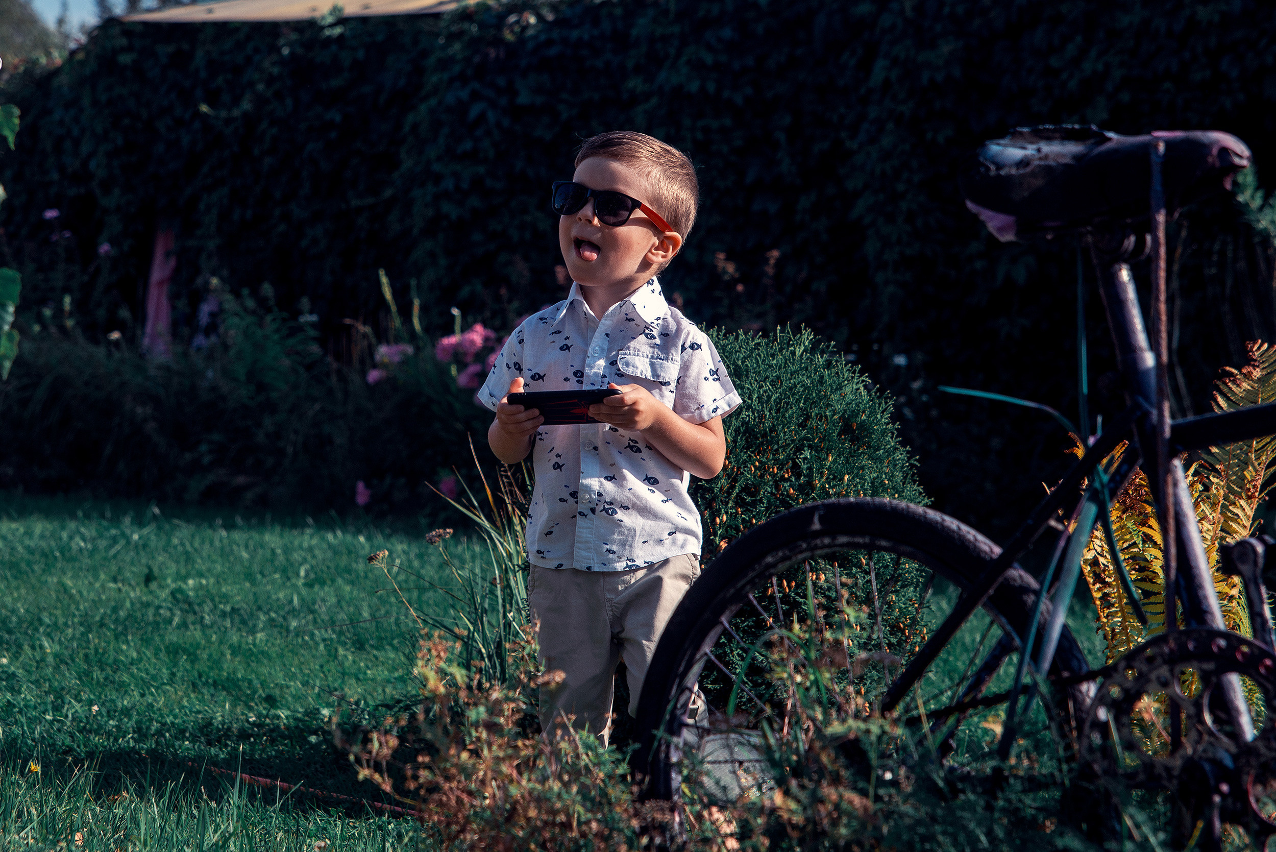 Family. Фото Видео Дизайн