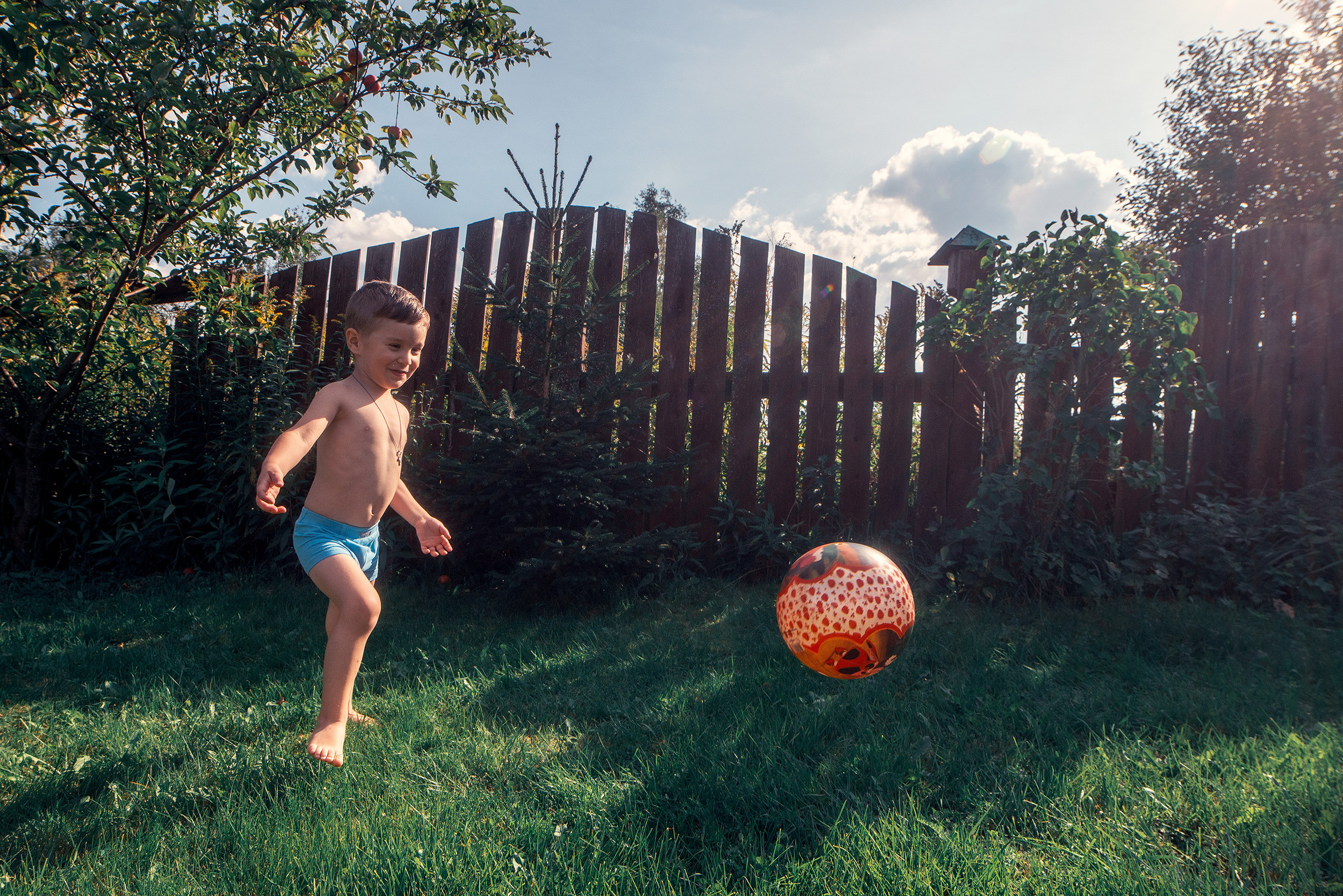 Family. Фото Видео Дизайн