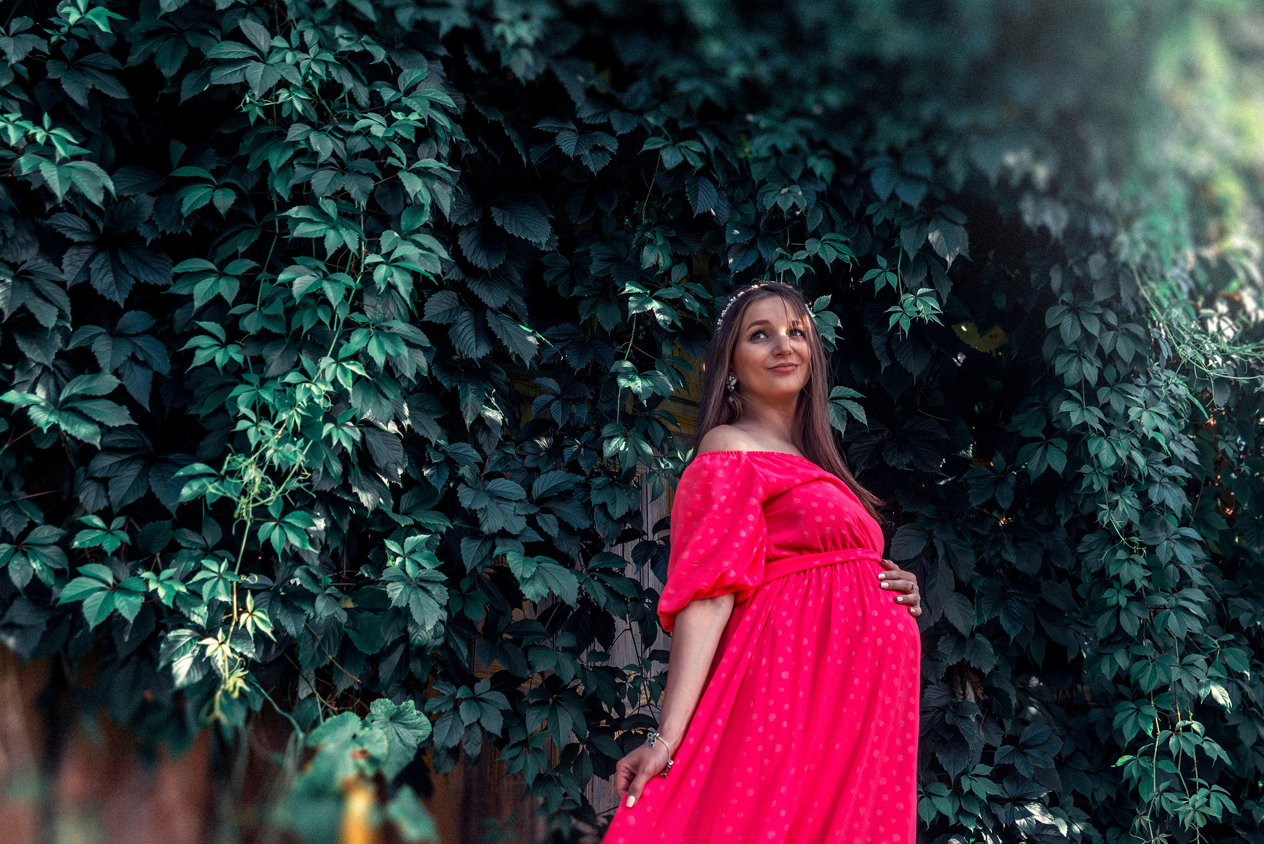 Family. Фото Видео Дизайн