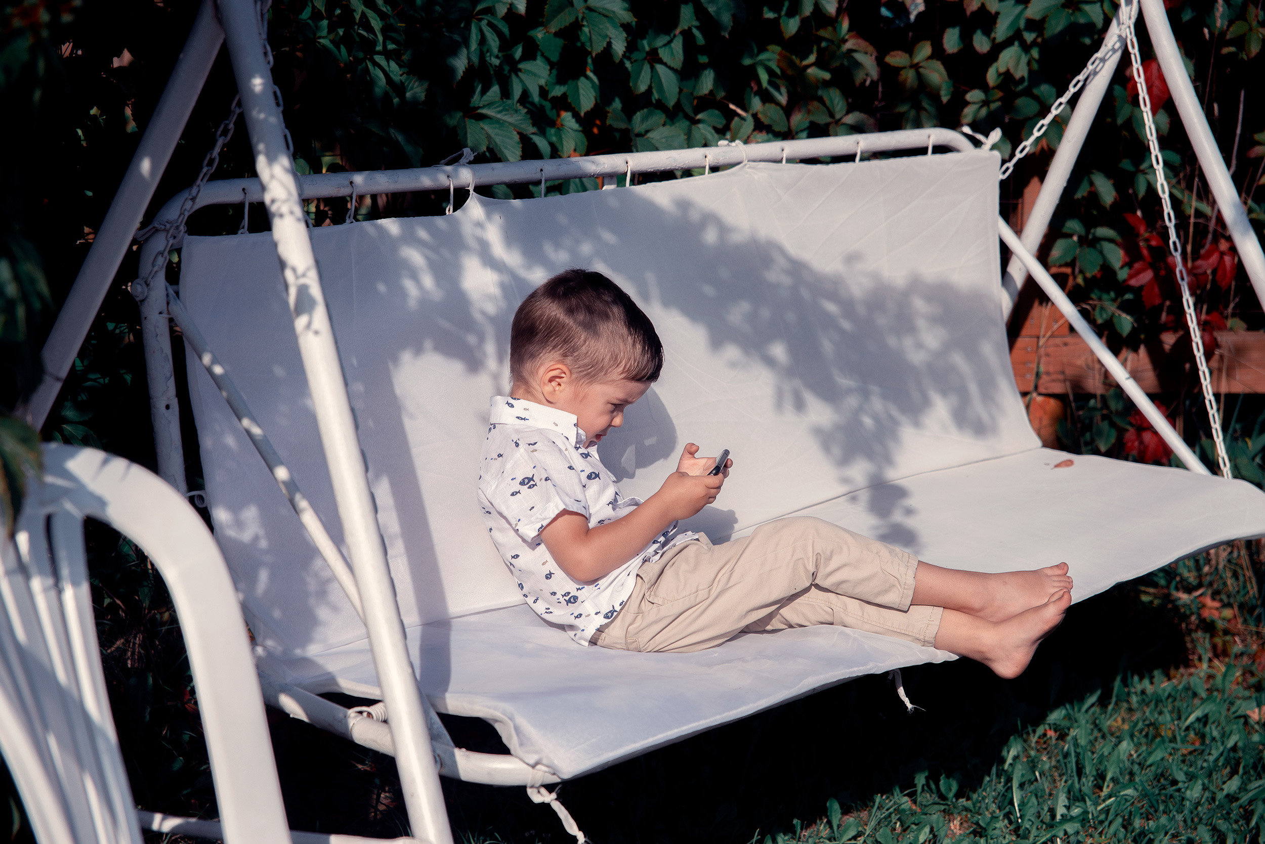 Family. Фото Видео Дизайн