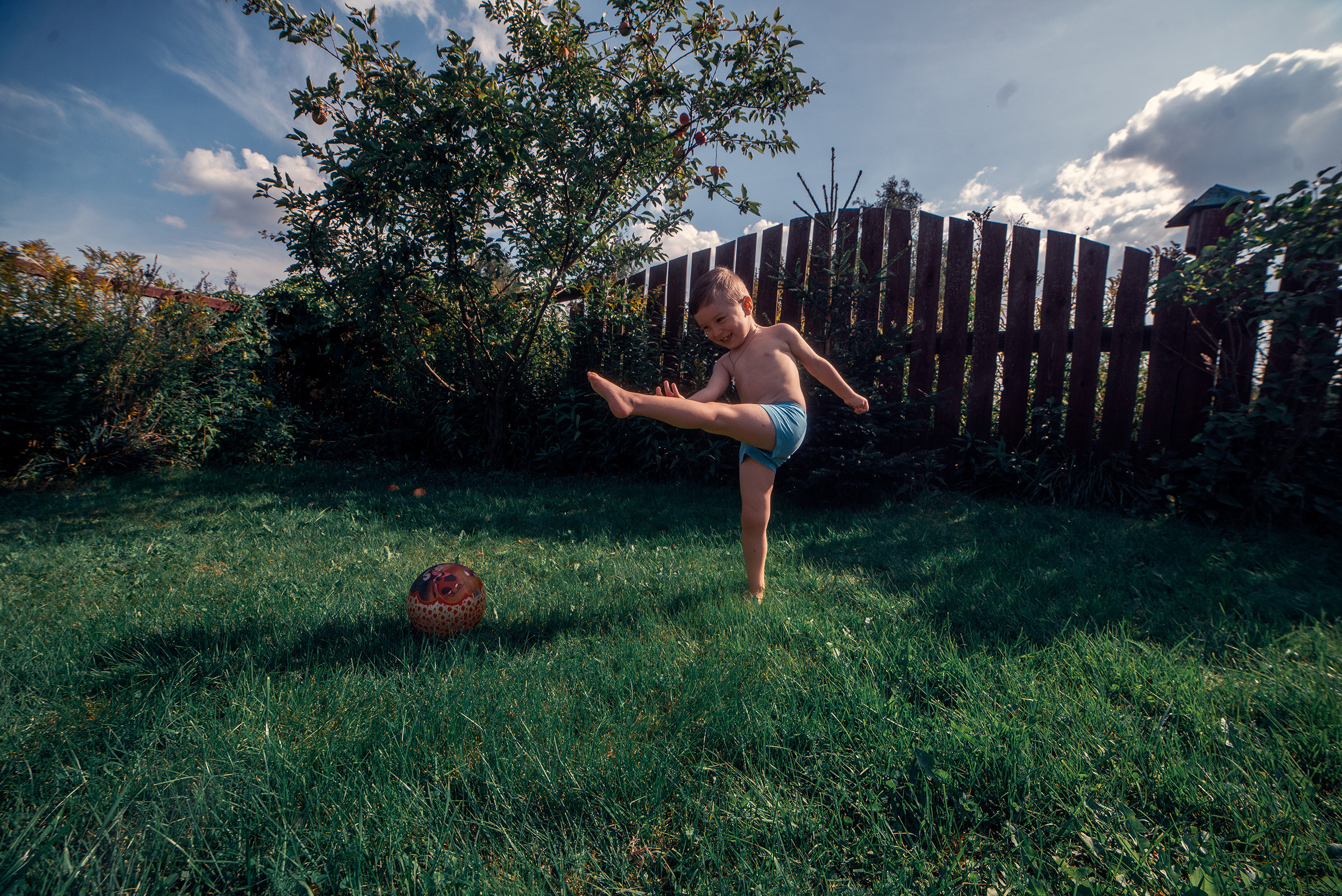 Family. Фото Видео Дизайн