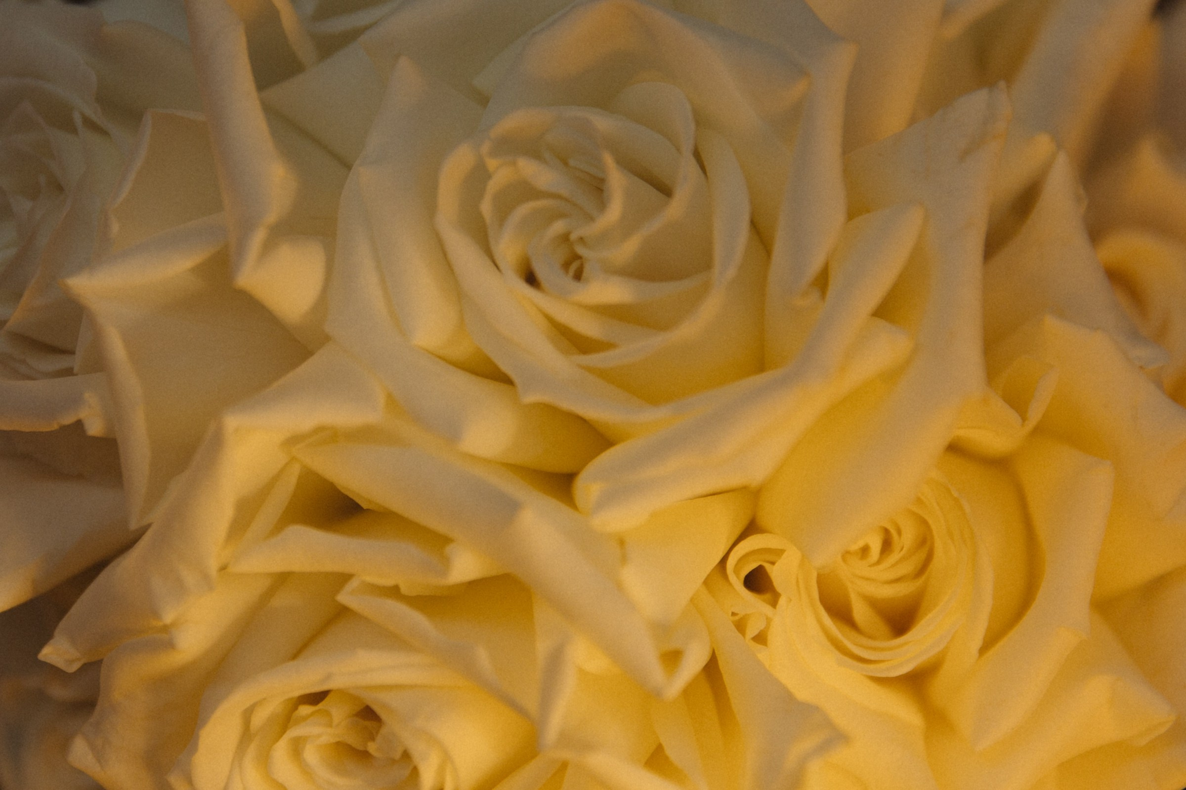 Love for Real. Свадебный фотограф Екатеринбург Алексей Ладыгин