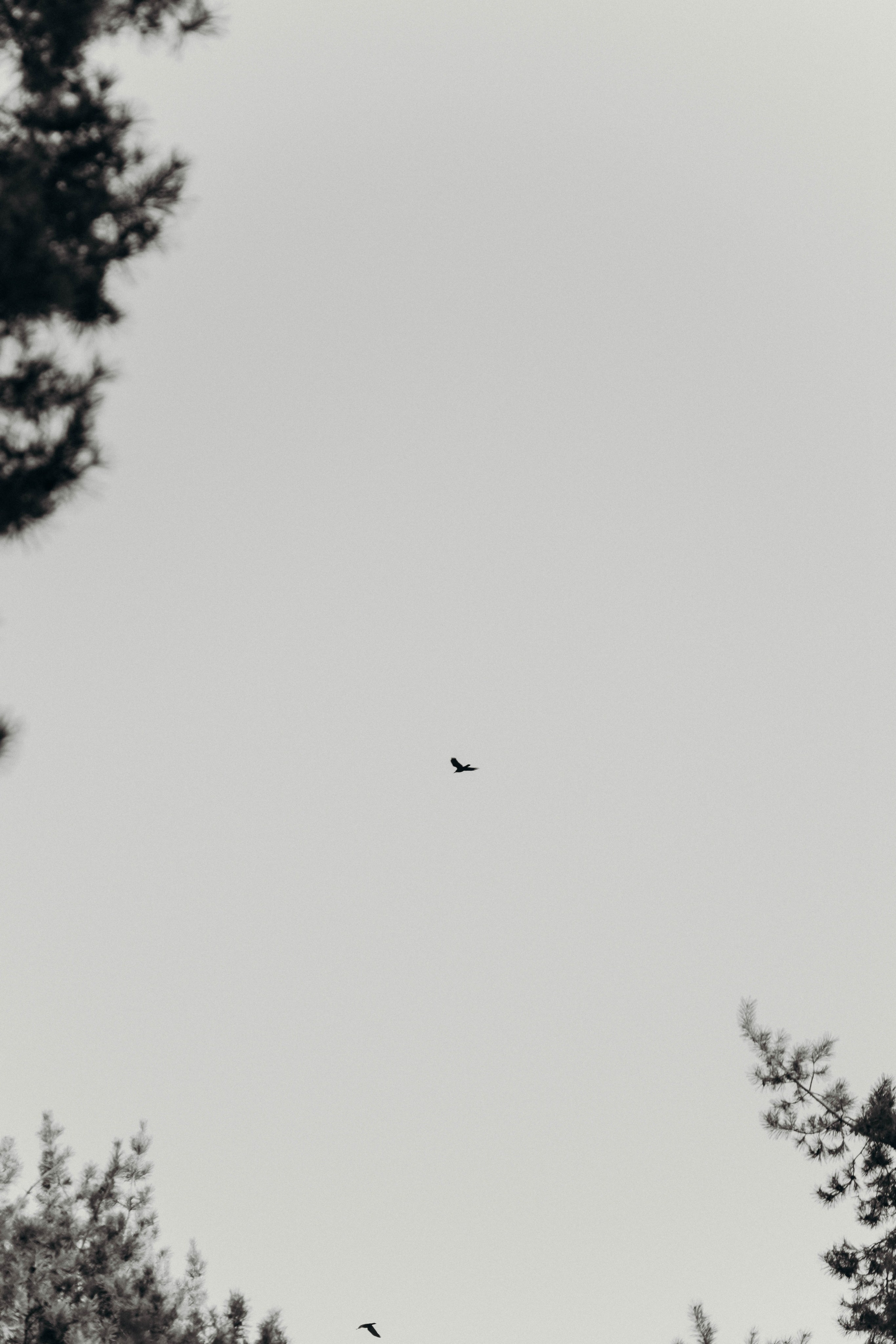 Диптихи. Репортажный фотограф в Алматы Цой Сергей