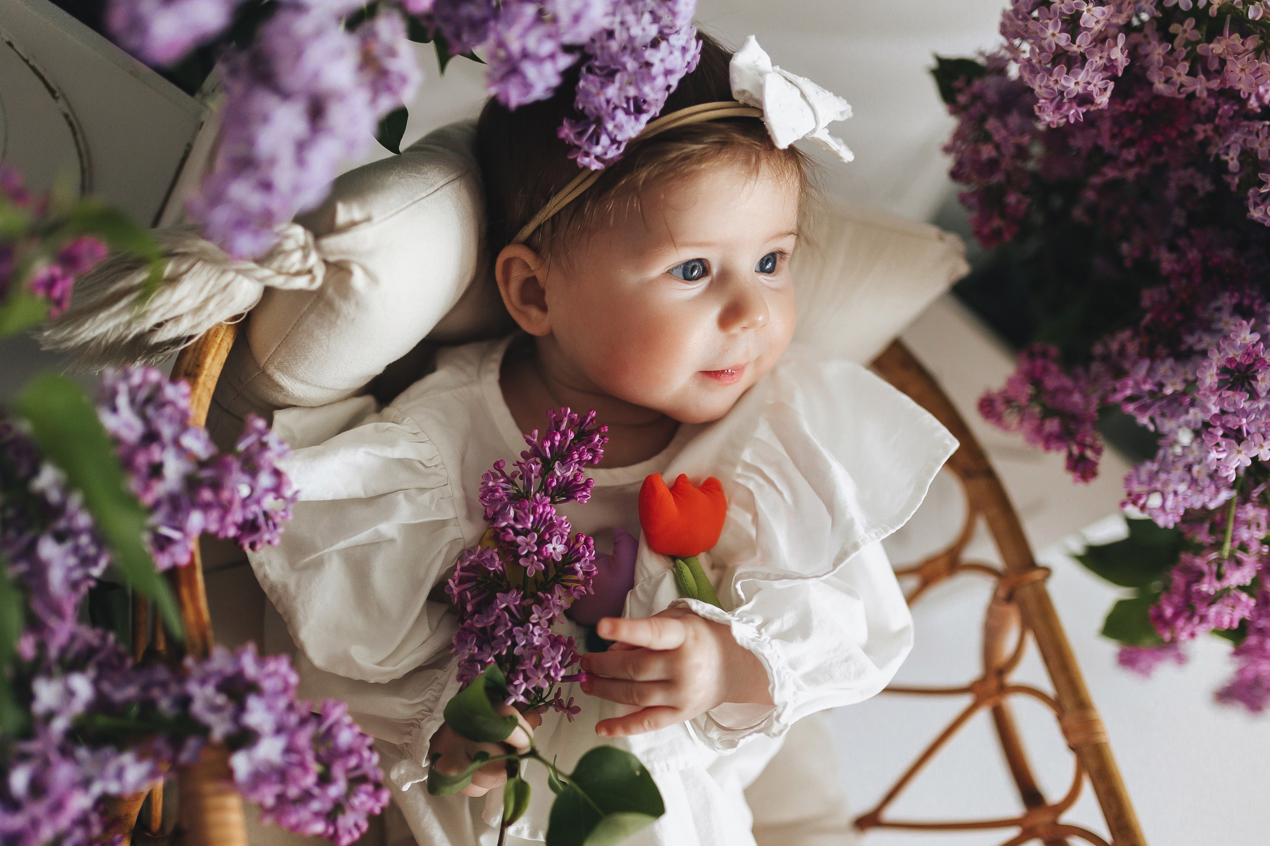Сирень 2025. Фотограф новорожденных Серпухов, Протвино, Москва I Марина Бурмистрова