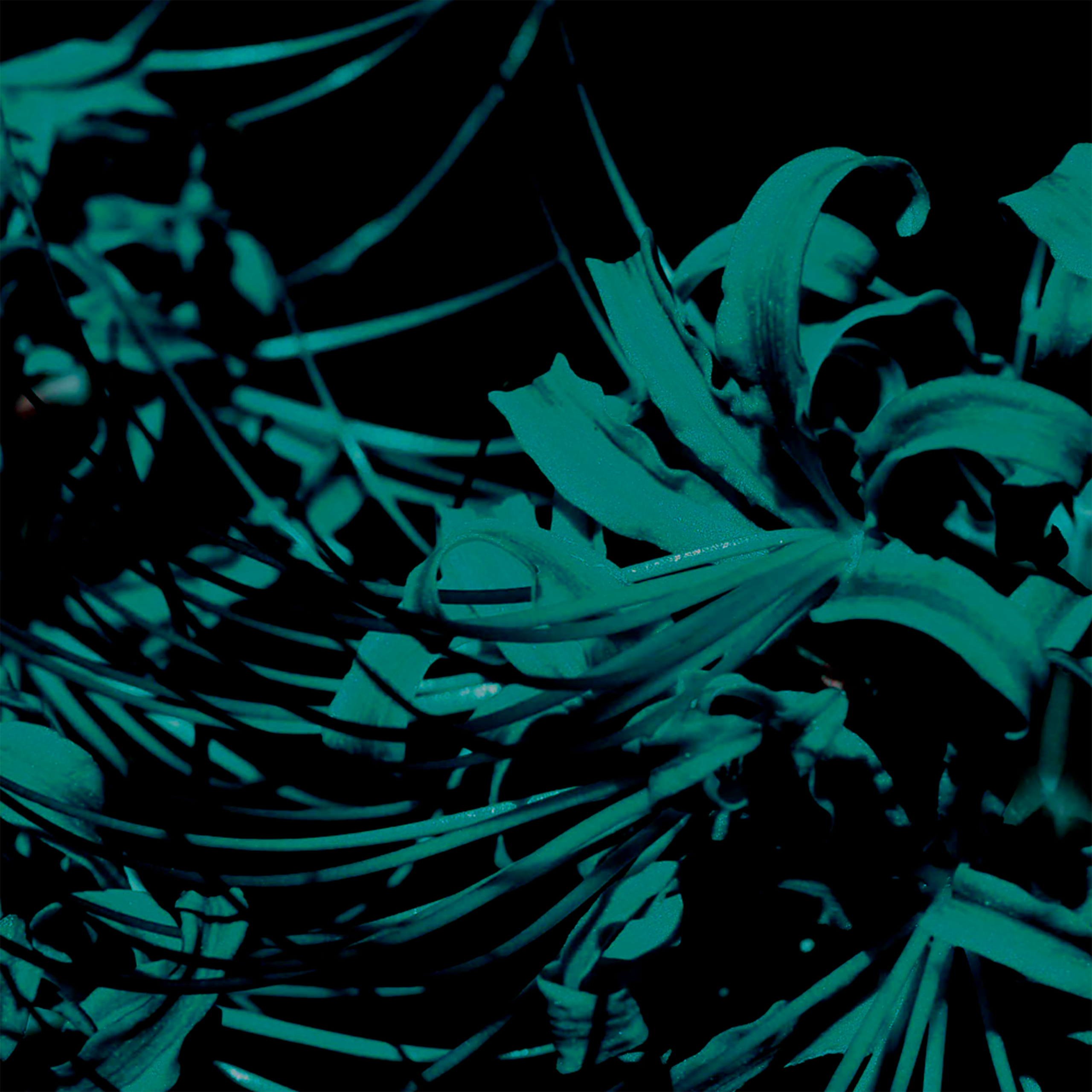 Art. Фотограф/дизайнер в Екатеринбурге Хитрый Дмитрий