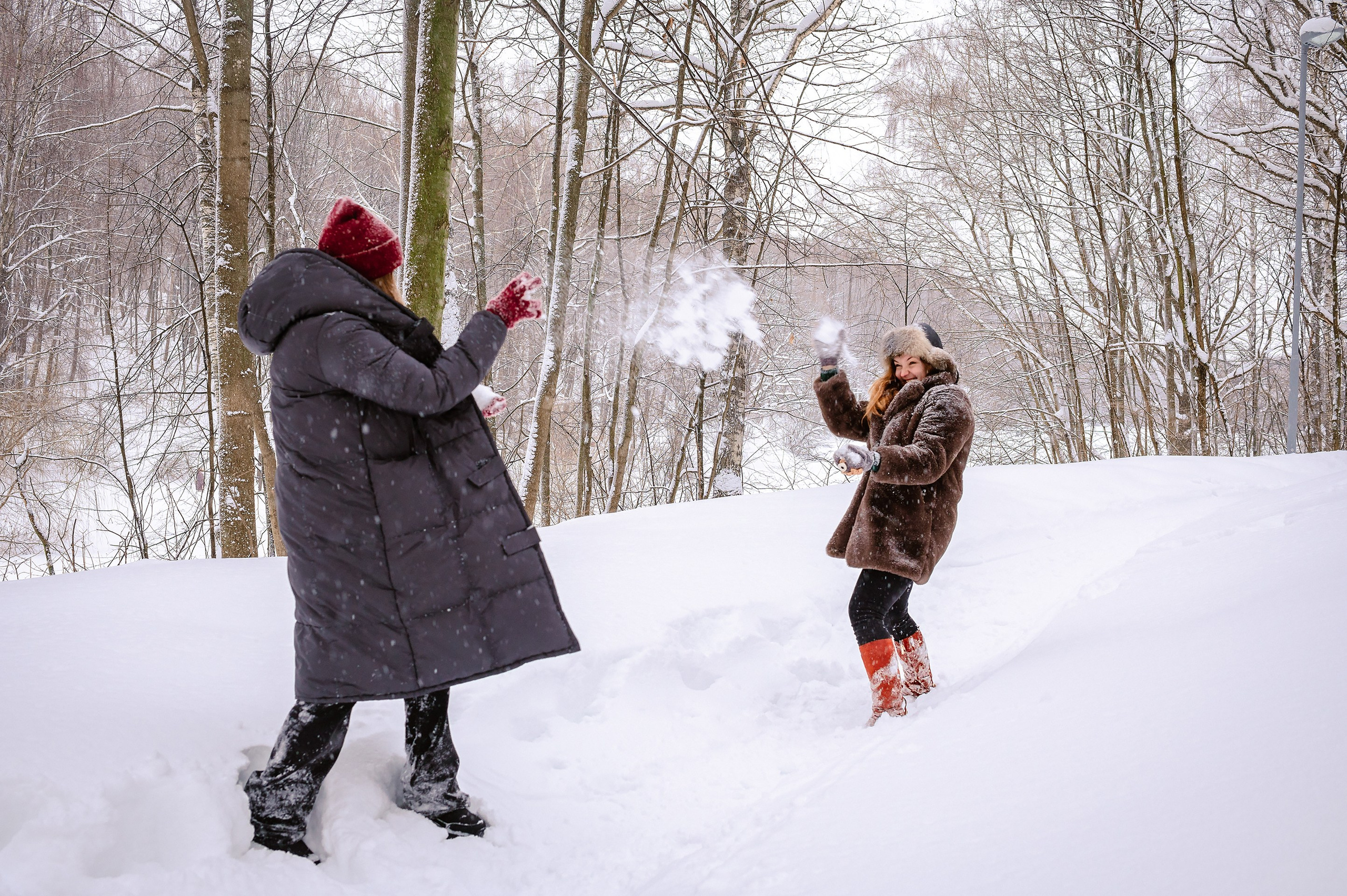 Зима. Фотограф Елена Новикова