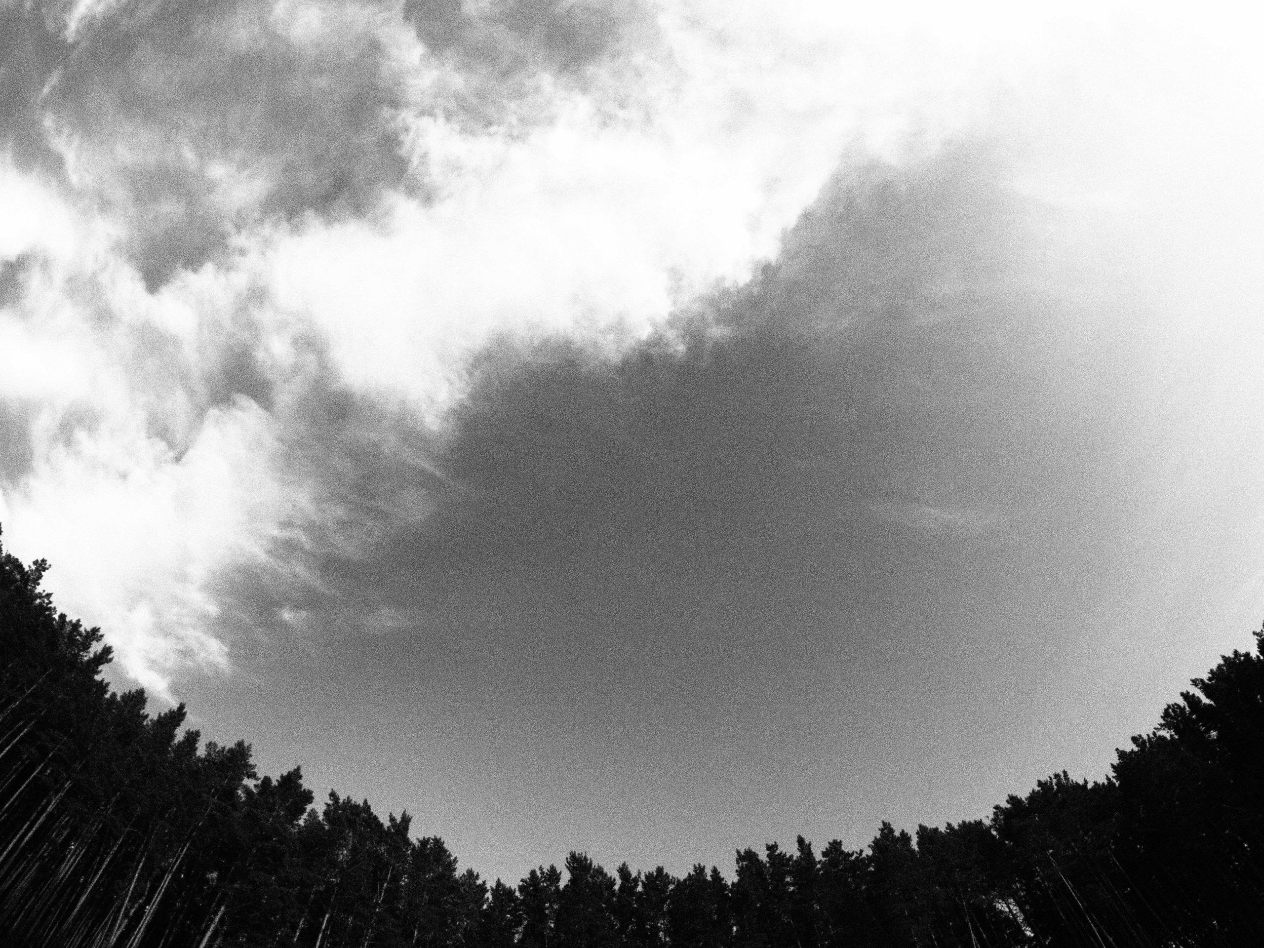 Промежуточные моменты (2023)