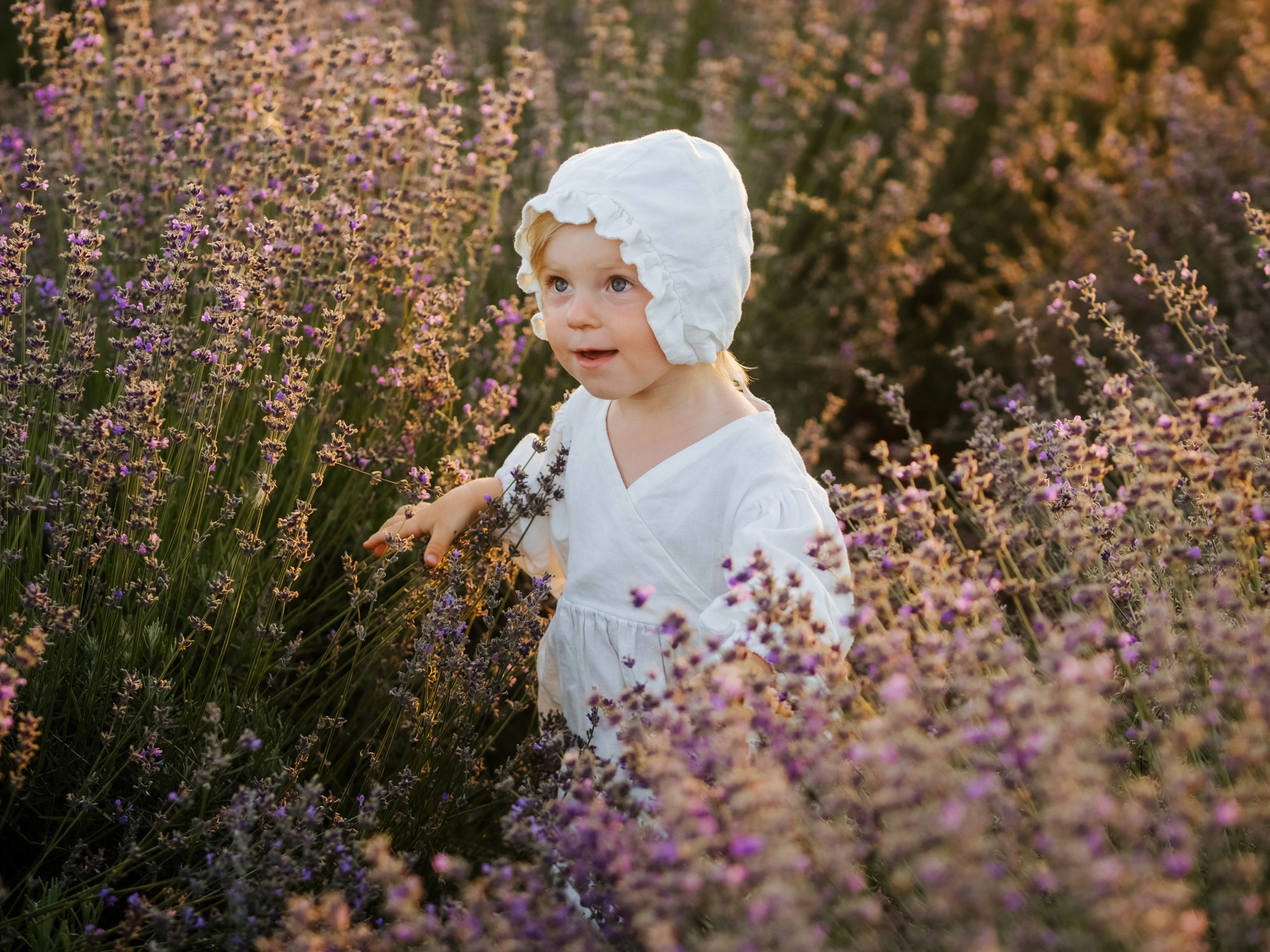 Лаванда. Семейный, детский, свадебный, фотограф в городе Анапа