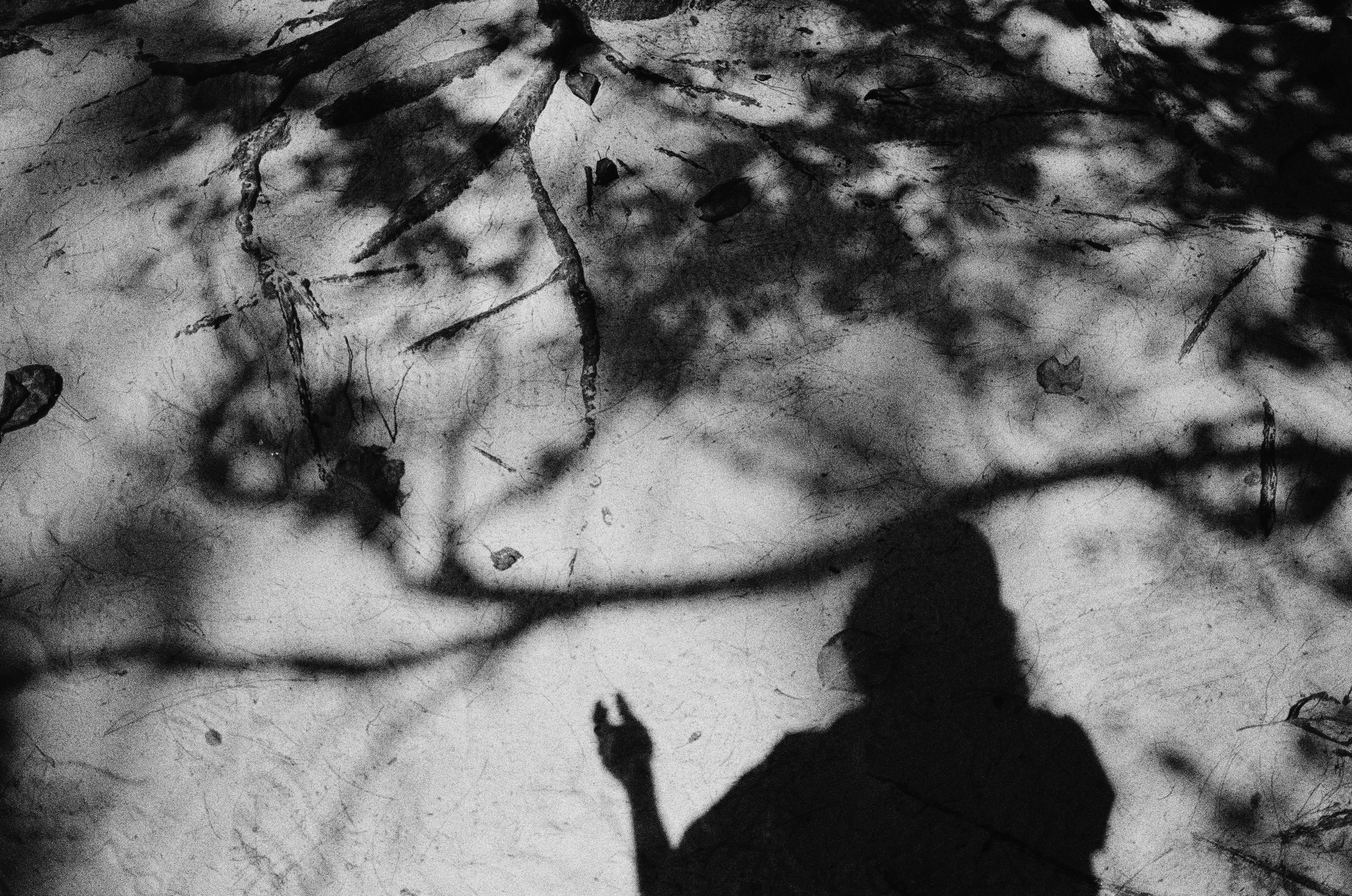 Hide-and-seek. Revucher