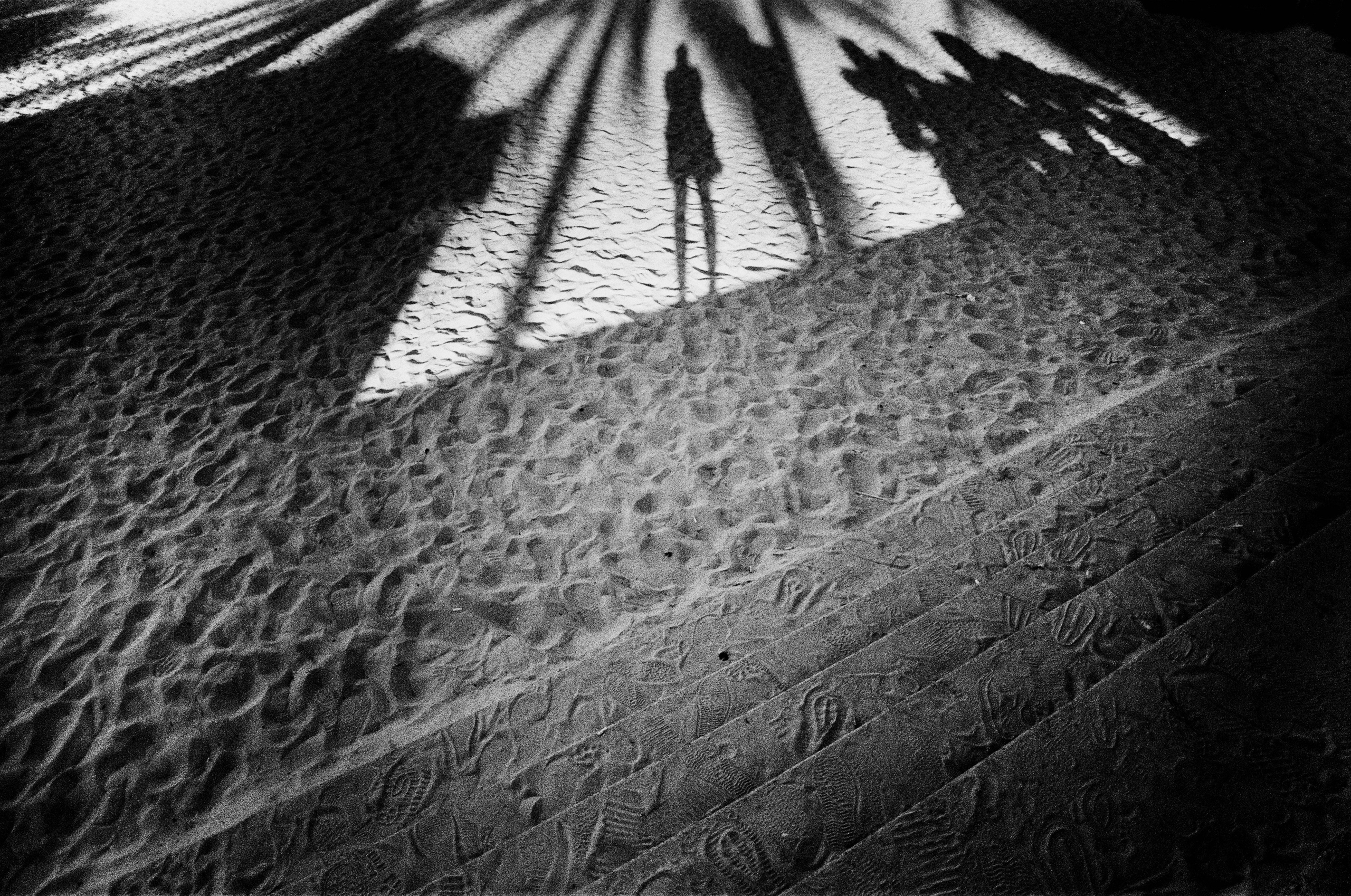 Hide-and-seek. Revucher