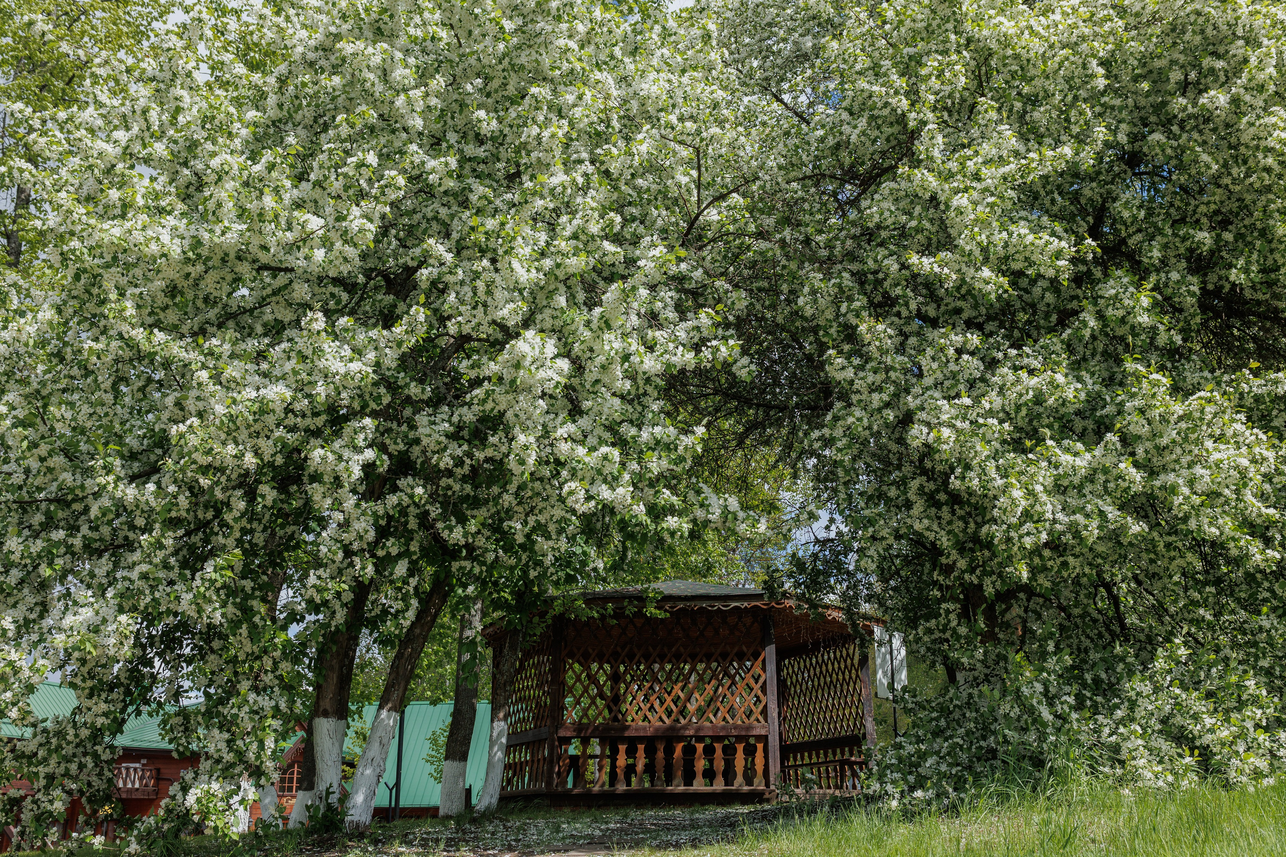 База отдыха «Металлург». Фотограф городских и семейных событий в Нижнем Новгороде Артем Карпухин