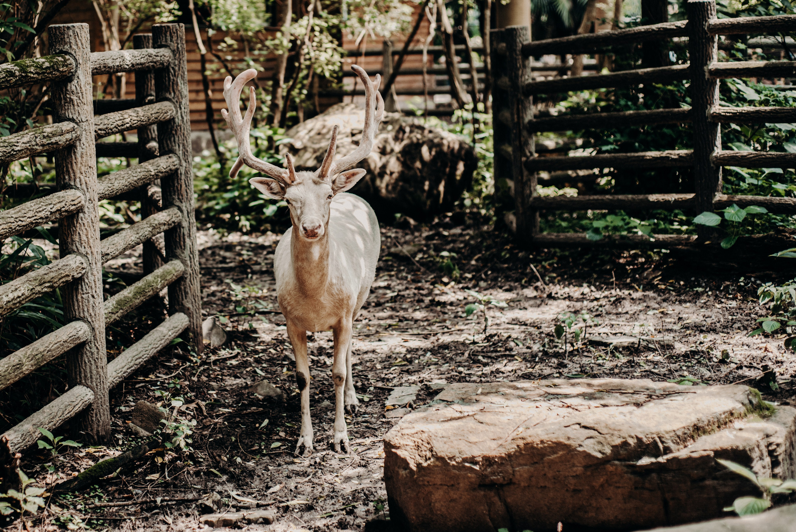 Рекламный фотограф из Гуанчжоу: вдохновение в улицах Шанхая. Коммерческий и предметный фотограф в Гуанчжоу Коваленко Александр