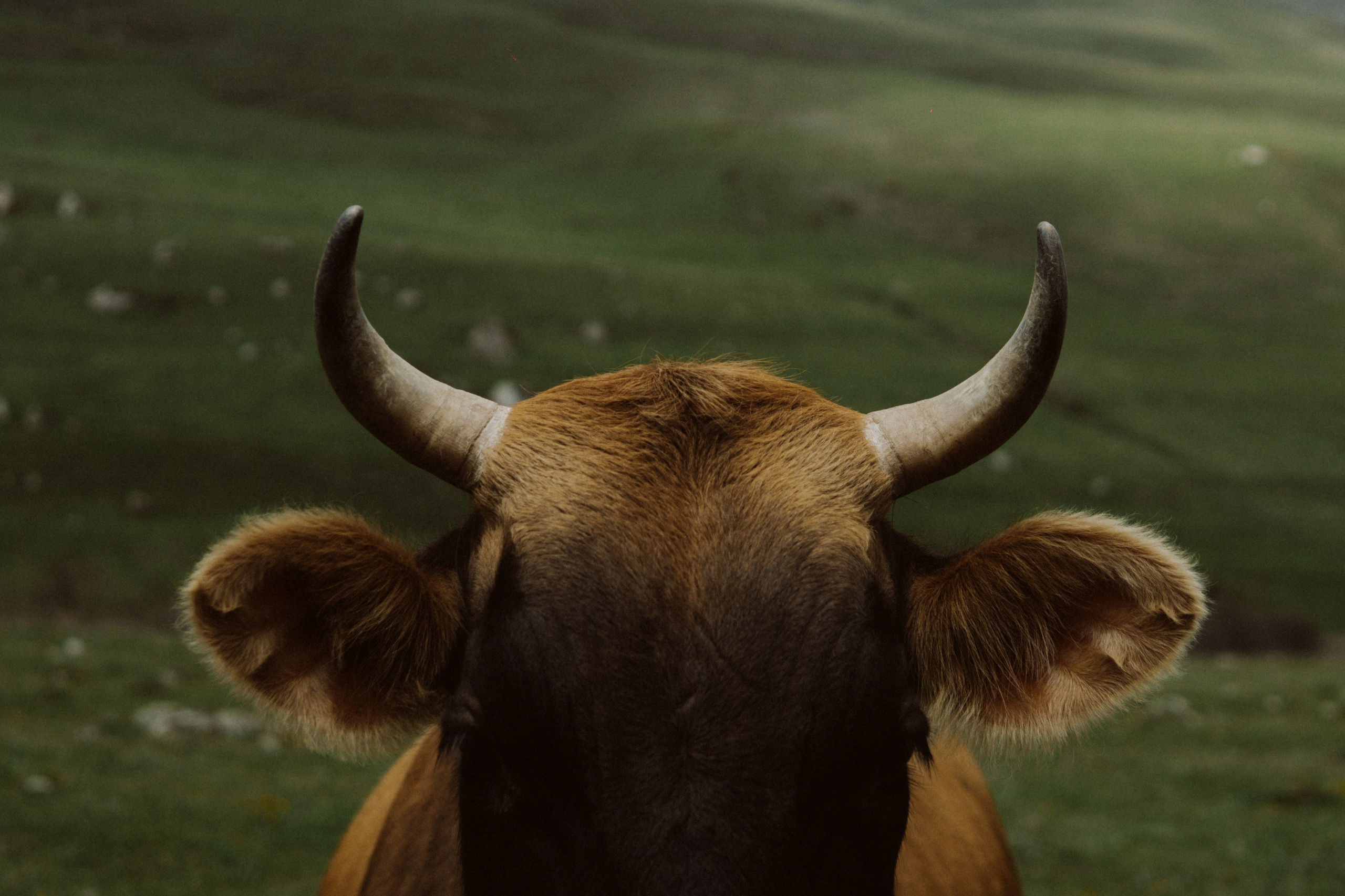 EXHIBITION. Репортажный и интерьерный фотограф, фотохудожник