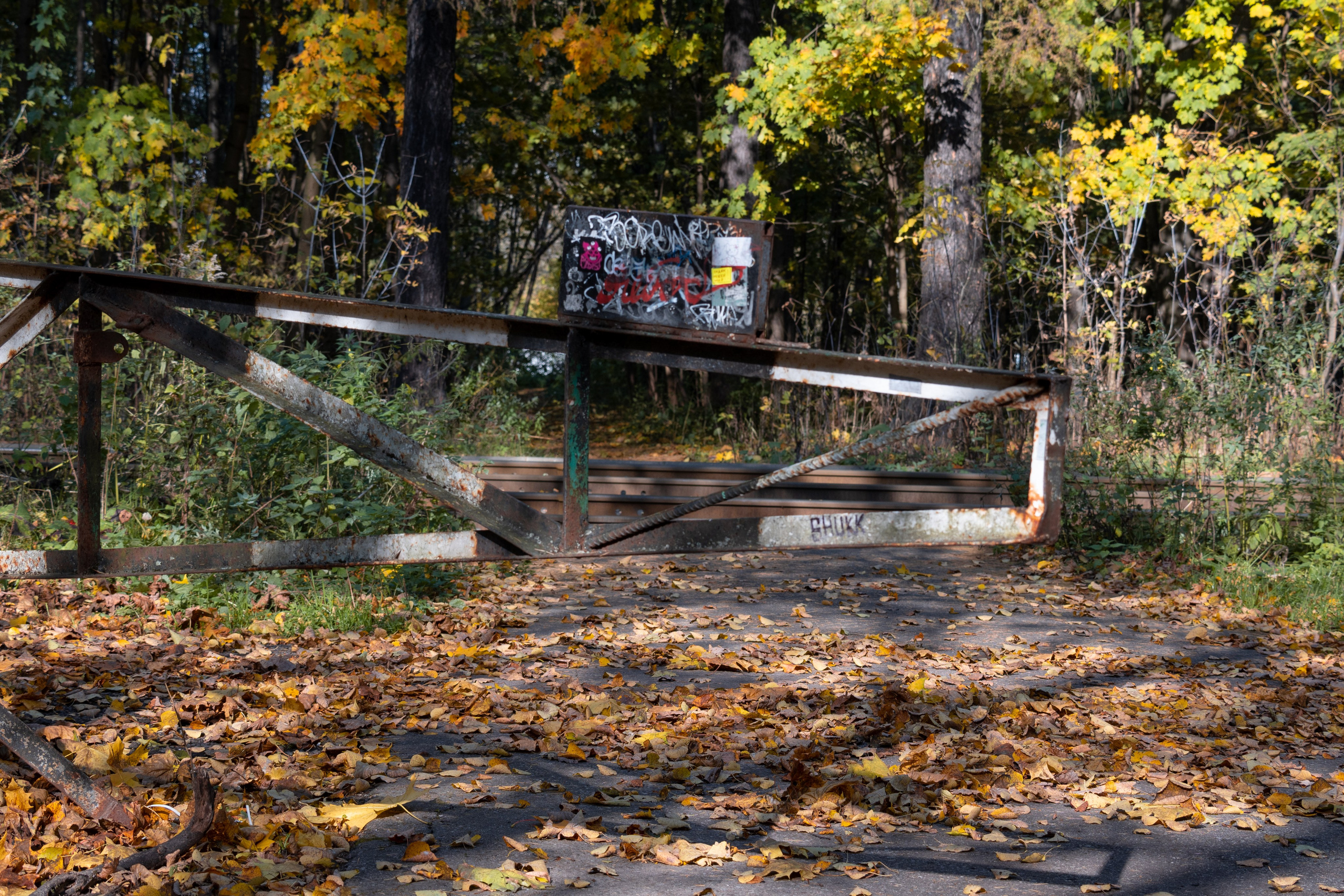 20241012 Измайлово. Дмитрий Ремизов. Фотография, как хобби