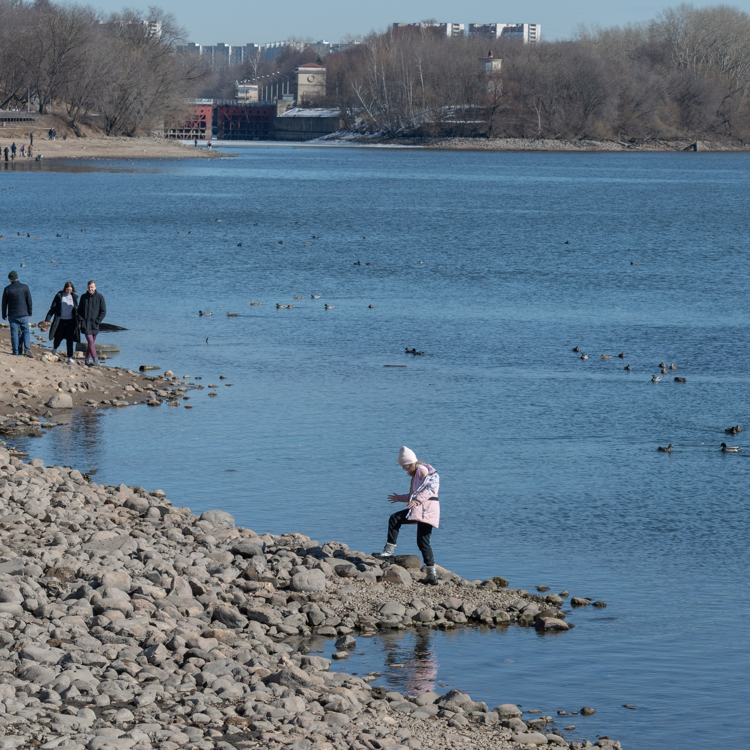 20220320 Коломенское. Дмитрий Ремизов. Фотография, как хобби