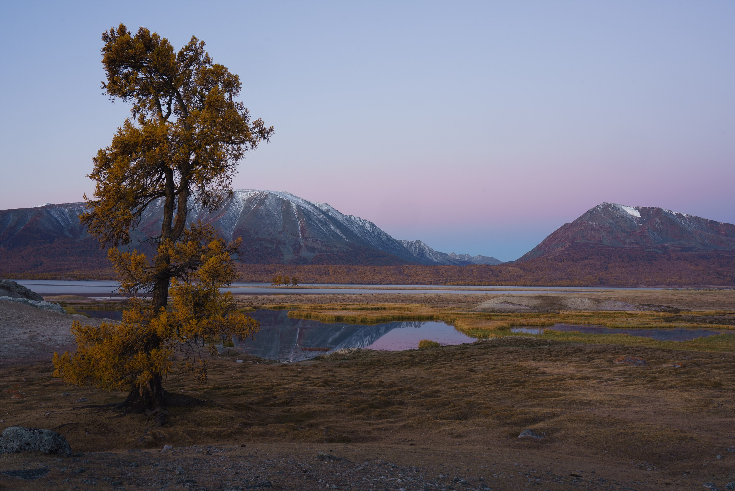 Монголия. Фотограф в Красноярске Нерозя Александр. Пейзаж, природа, портрет