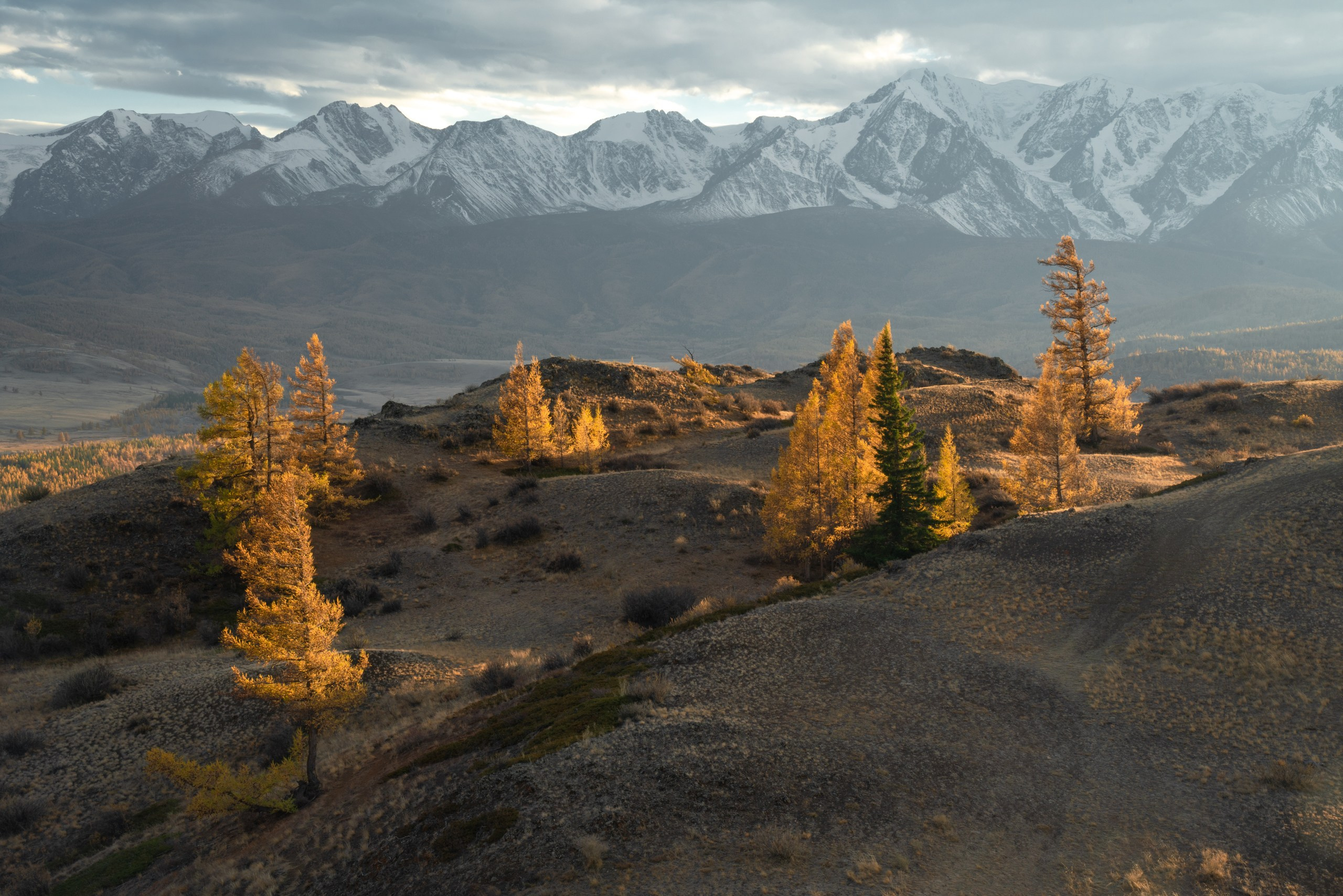 Алтай. Фотограф в Красноярске Нерозя Александр. Пейзаж, природа, портрет