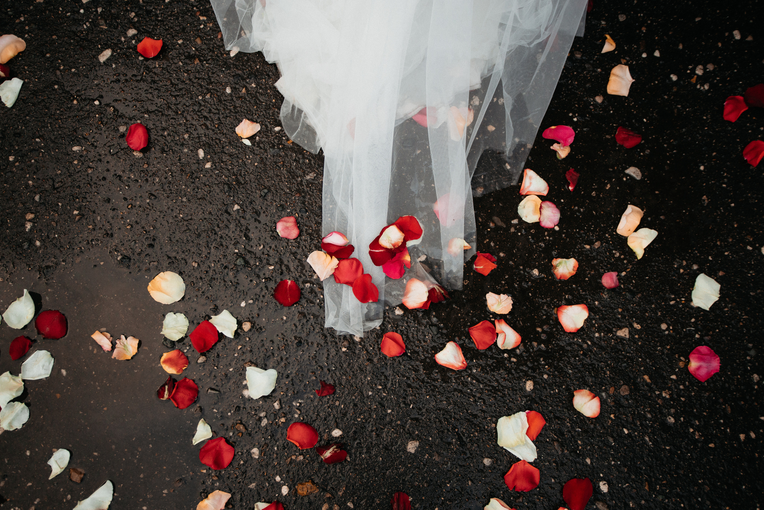 Алексей и Людмила. Свадебный фотограф в Ярославле Андрей Перегудов