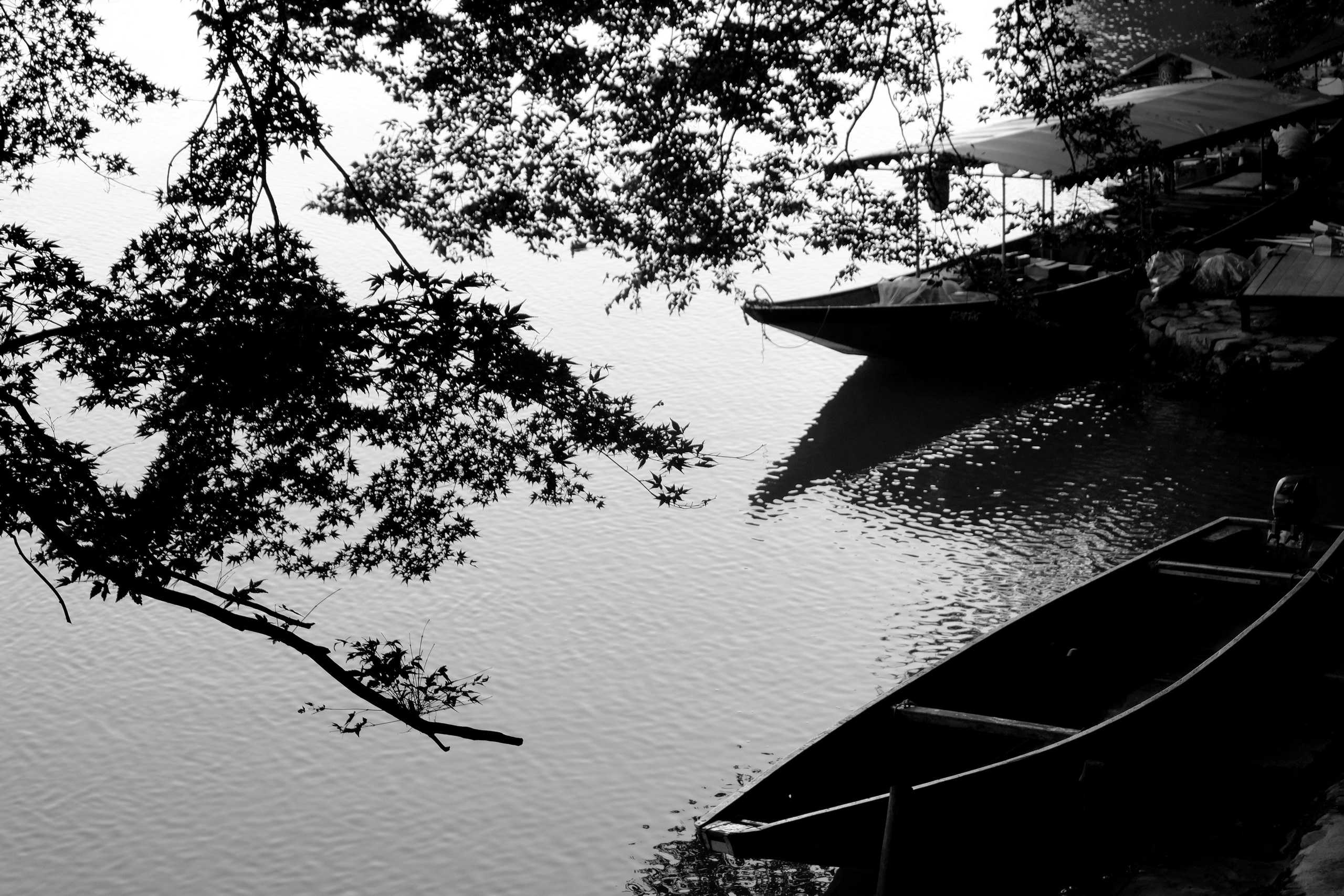 ЯПОНИЯ. Семейный и travel-фотограф из Израиля