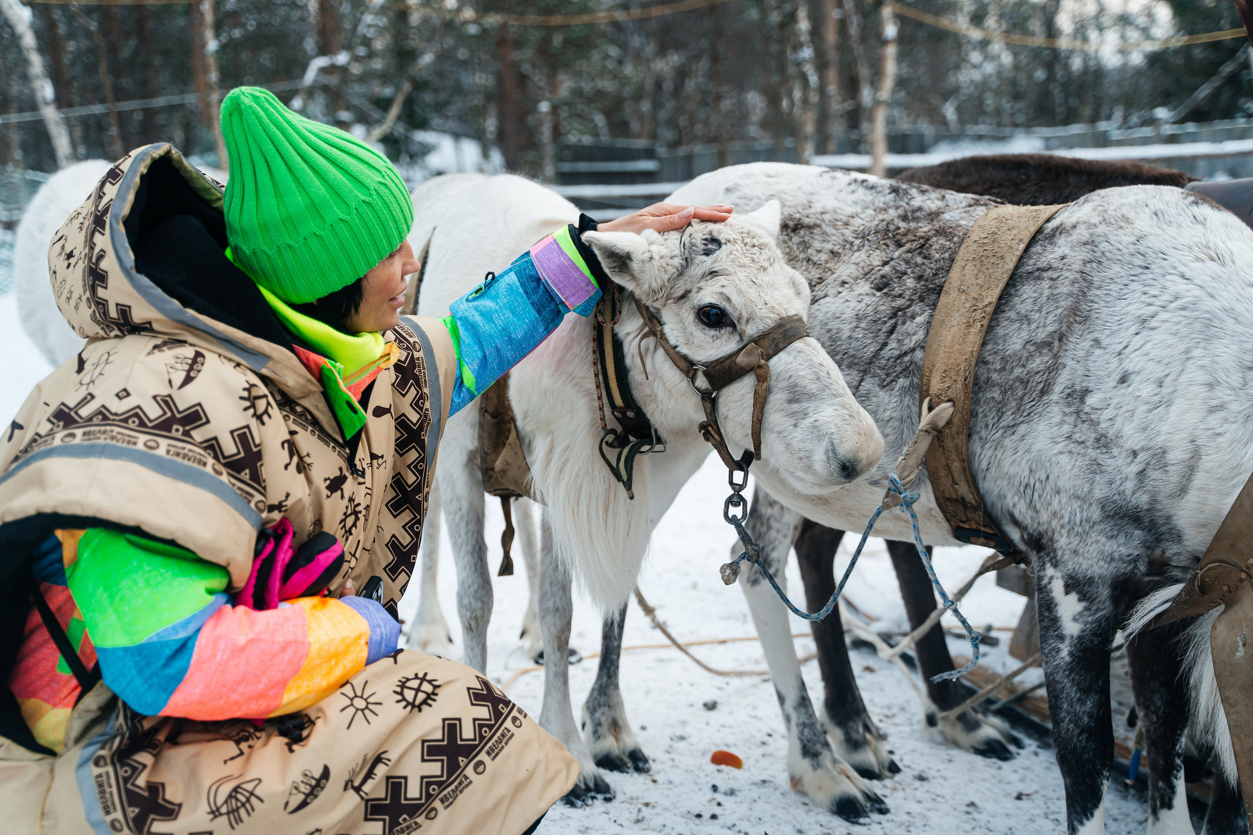 Териберка. Семейный фотограф в Санкт-Петербурге
